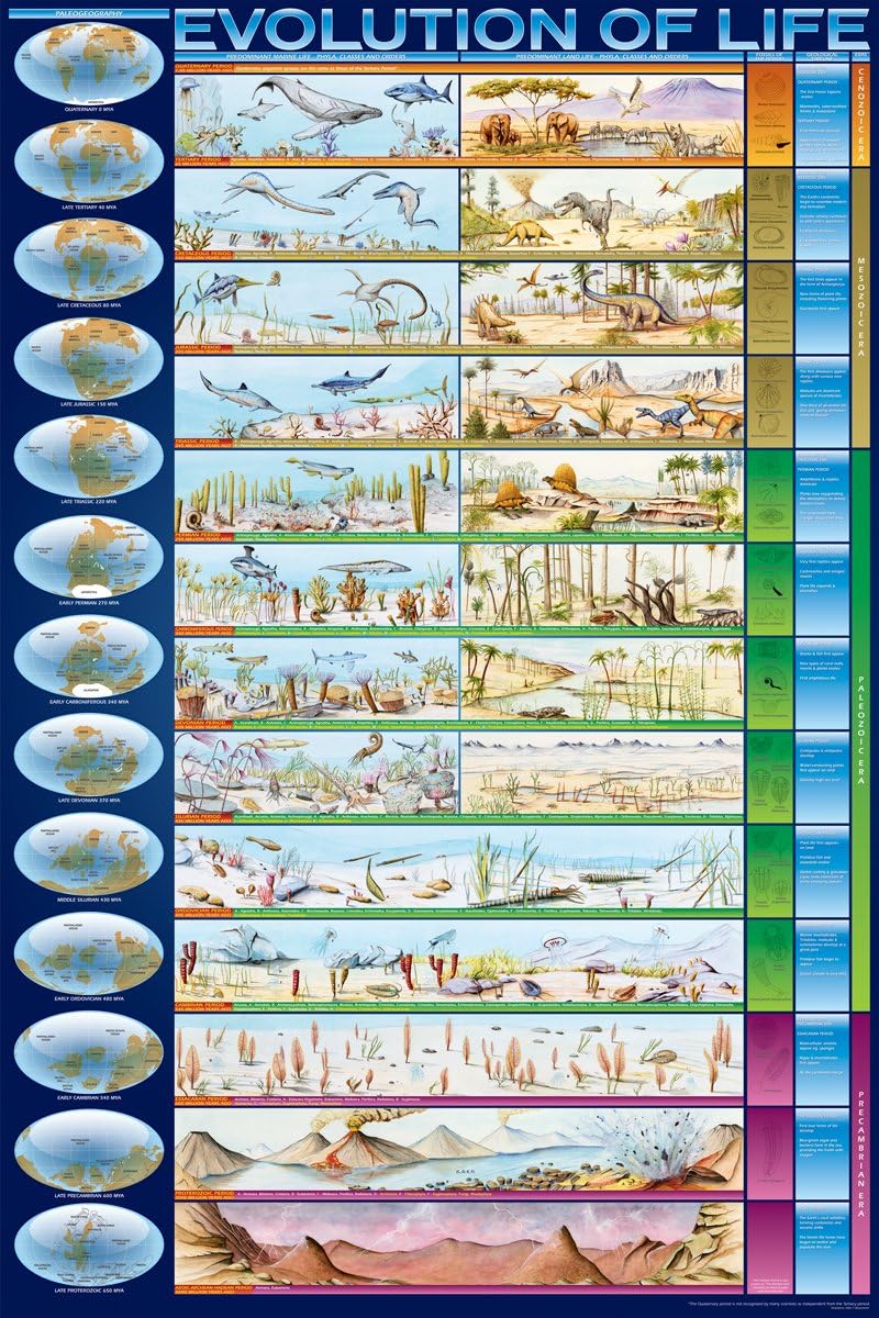 EuroGraphics Evolution of Life, Poster 36 x 24 inch