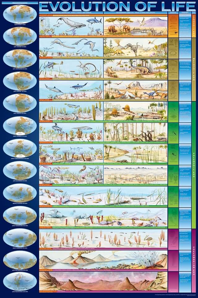 "История о Любви и Разлуке " Любовь Благодарность Уважение Понимание и Доверие .