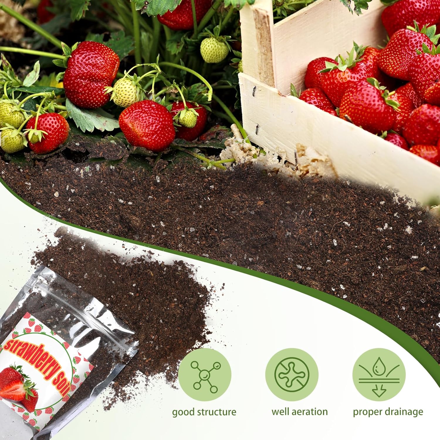 Doter Organic Strawberry Soil Mix 10qt, Indoor Plants Potting Mix for All Potted Strawberry, Grow Healthy houseplants Indoors
