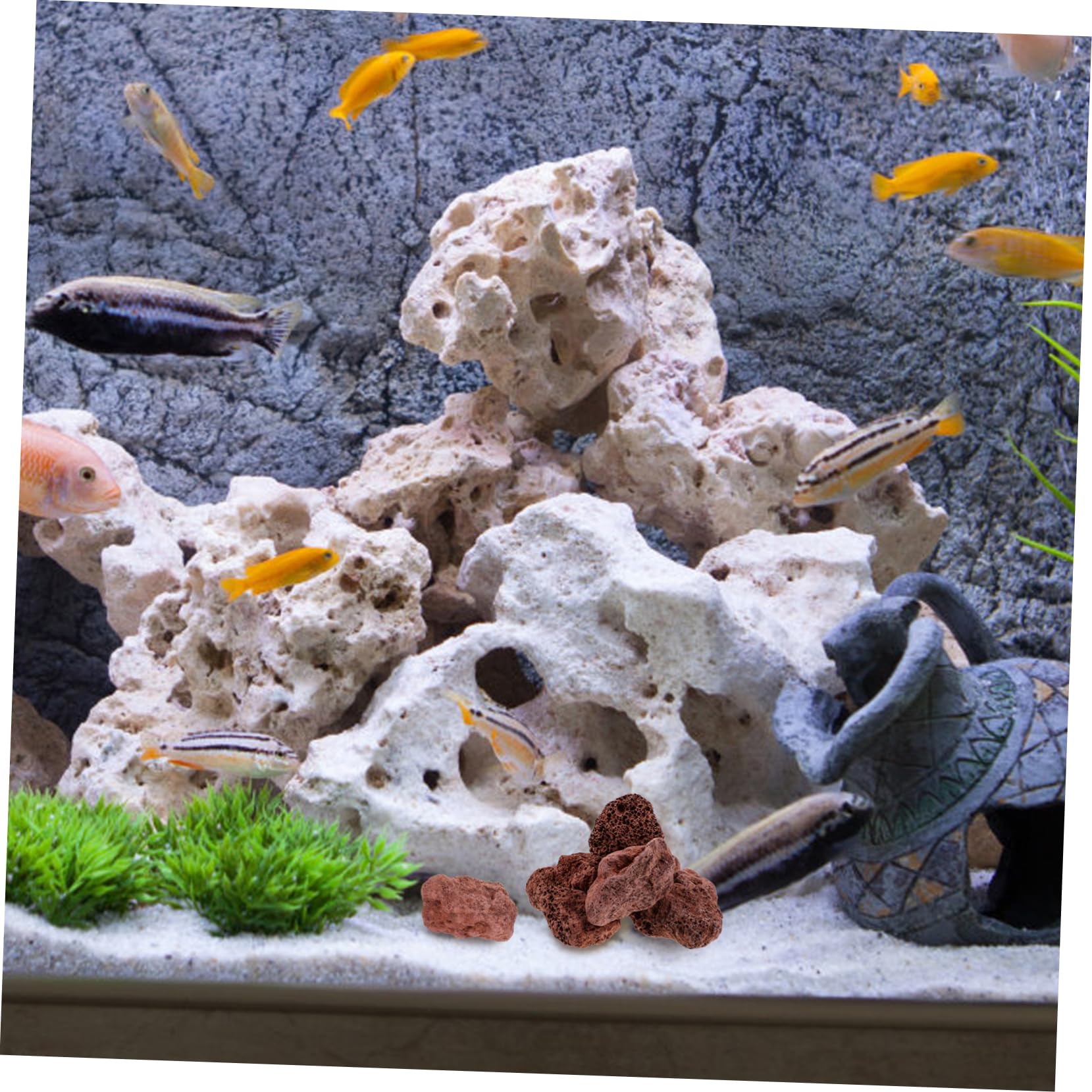 Toddmomy Ornements en Pierre Volcanique Faits À La Main Pierres Décoratives pour Aquarium Roche Volcanique Naturelle pour Plantes Succulentes