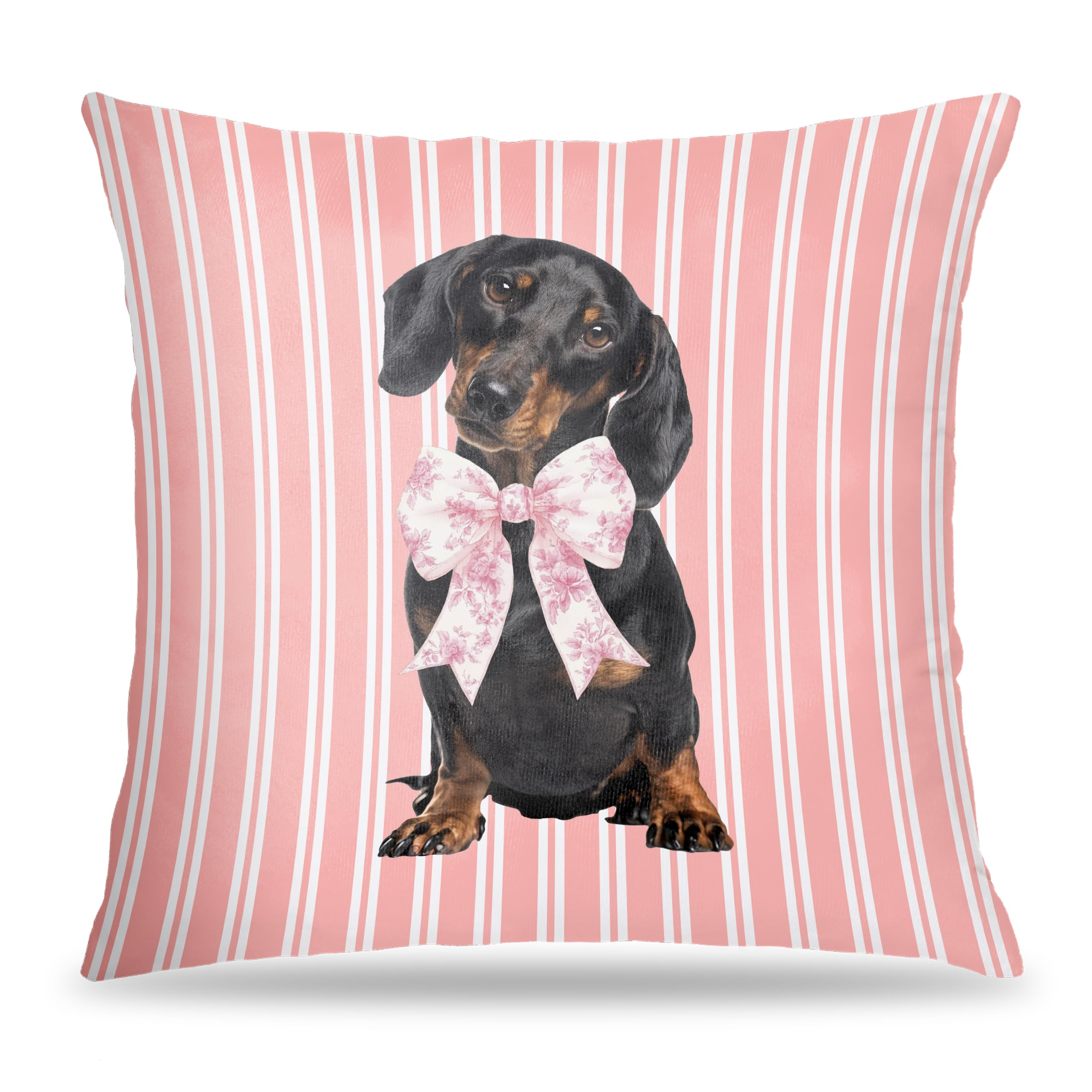 FITIE Coquette Pink Chinoiserie Bow Dachshund Pillow Covers 18x18 Dachshund Gifts for Women Preppy Pink Striped Cute Weiner
