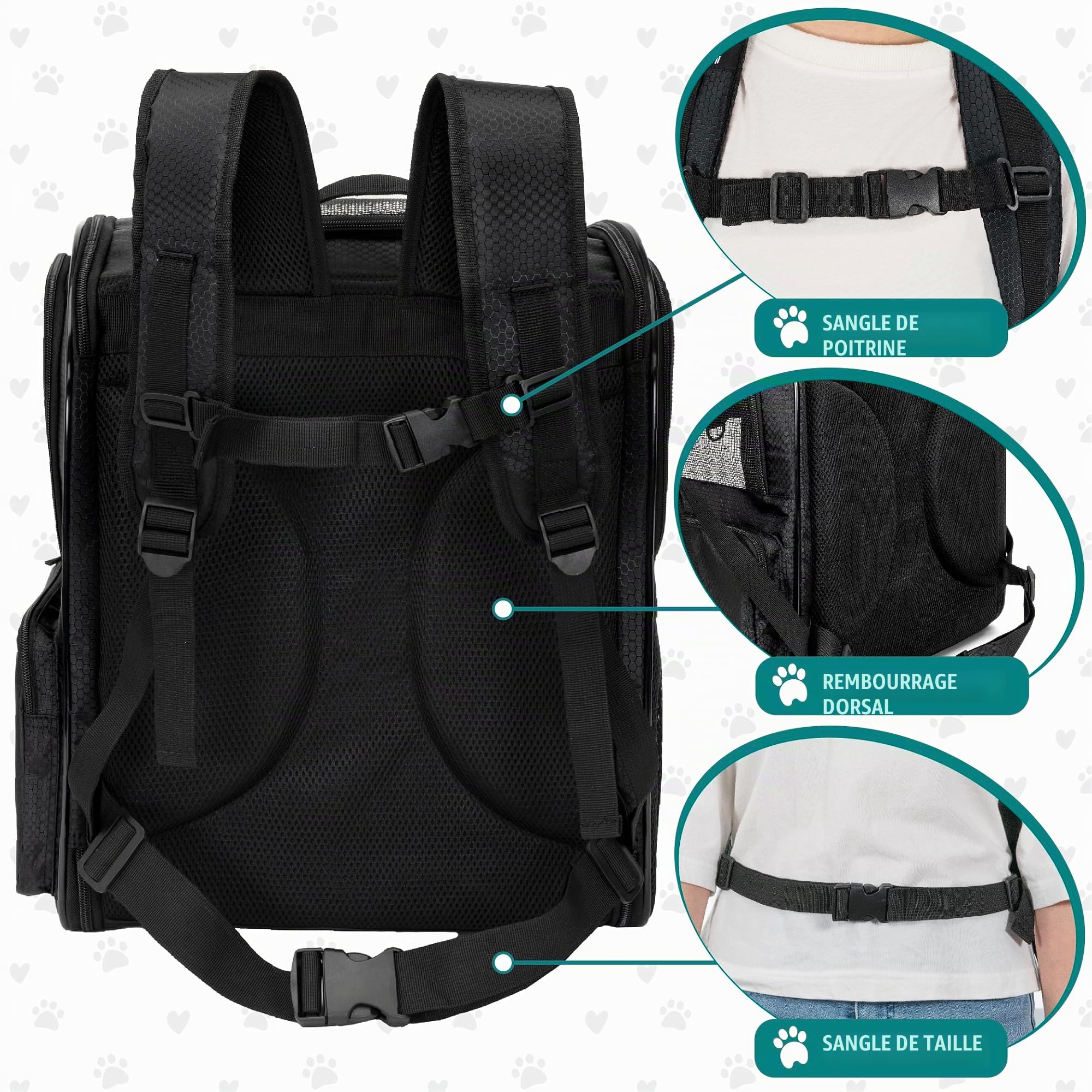 PetAmi Sac à Dos de Transport ventilé pour Petit et Grand Chat, Animal de Compagnie, Chiots, Sac à Dos de randonnée ventilé, approuvé par Les compagnies aériennes, Soutien Dorsal de sécurité, Camping