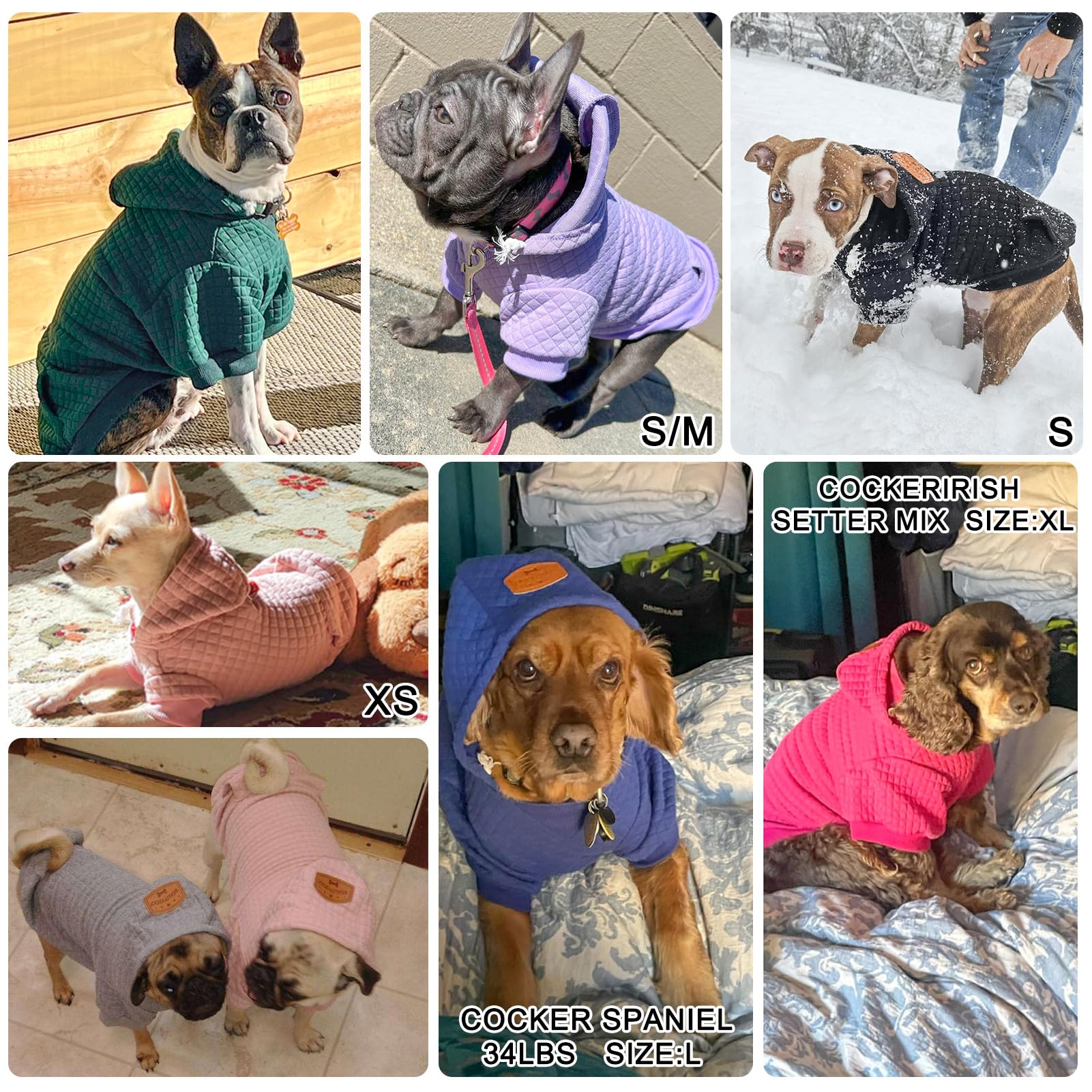 BEAUTYZOO Small Dog Hoodie Sweater with Pockets - Image 2