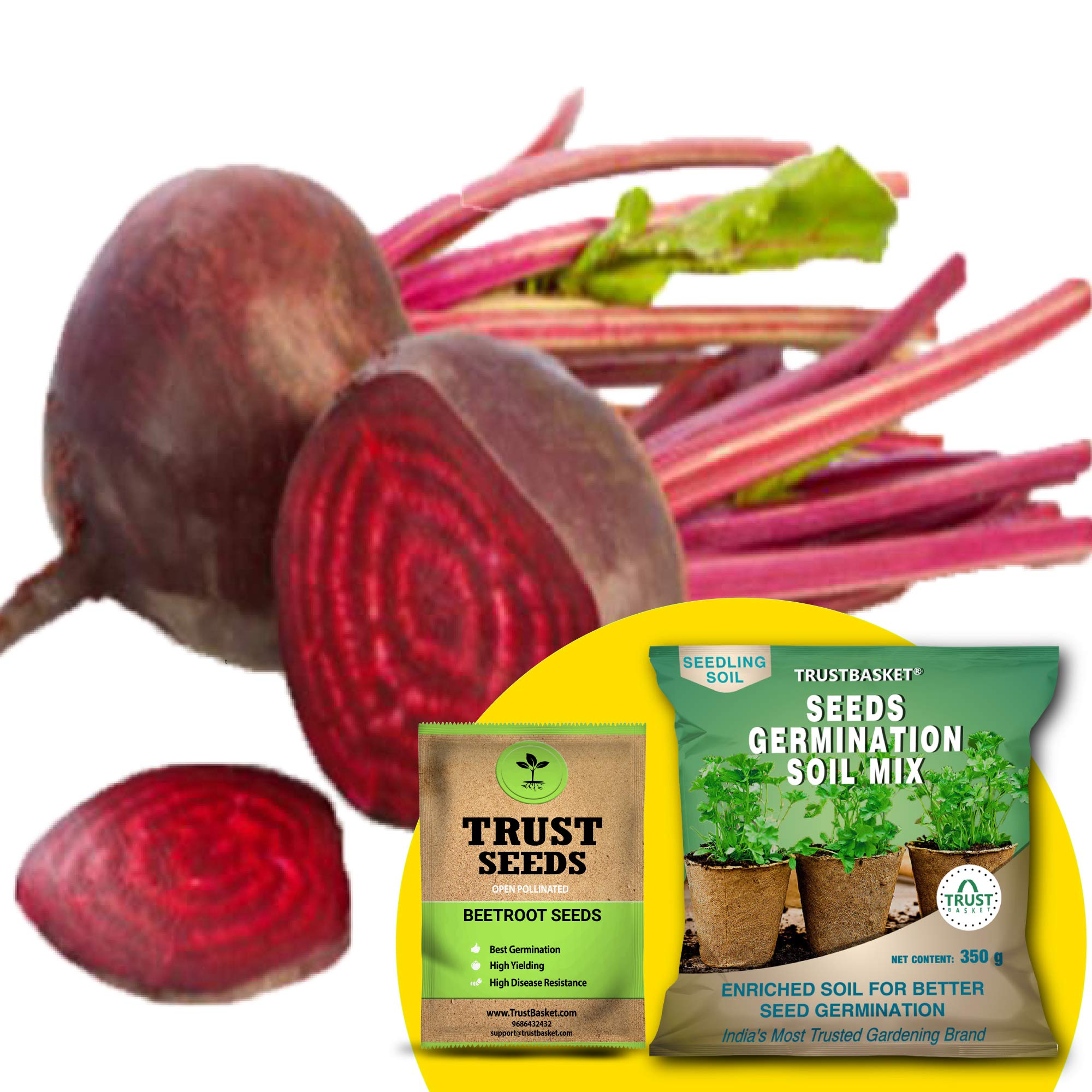 TrustBasket Premium Beetroot (OP/Desi) Seeds with Free Germination Potting Soil Mix | Sow and Grow Fresh Healthy Seed in Your Garden Perfect for Home & Terrace Gardening