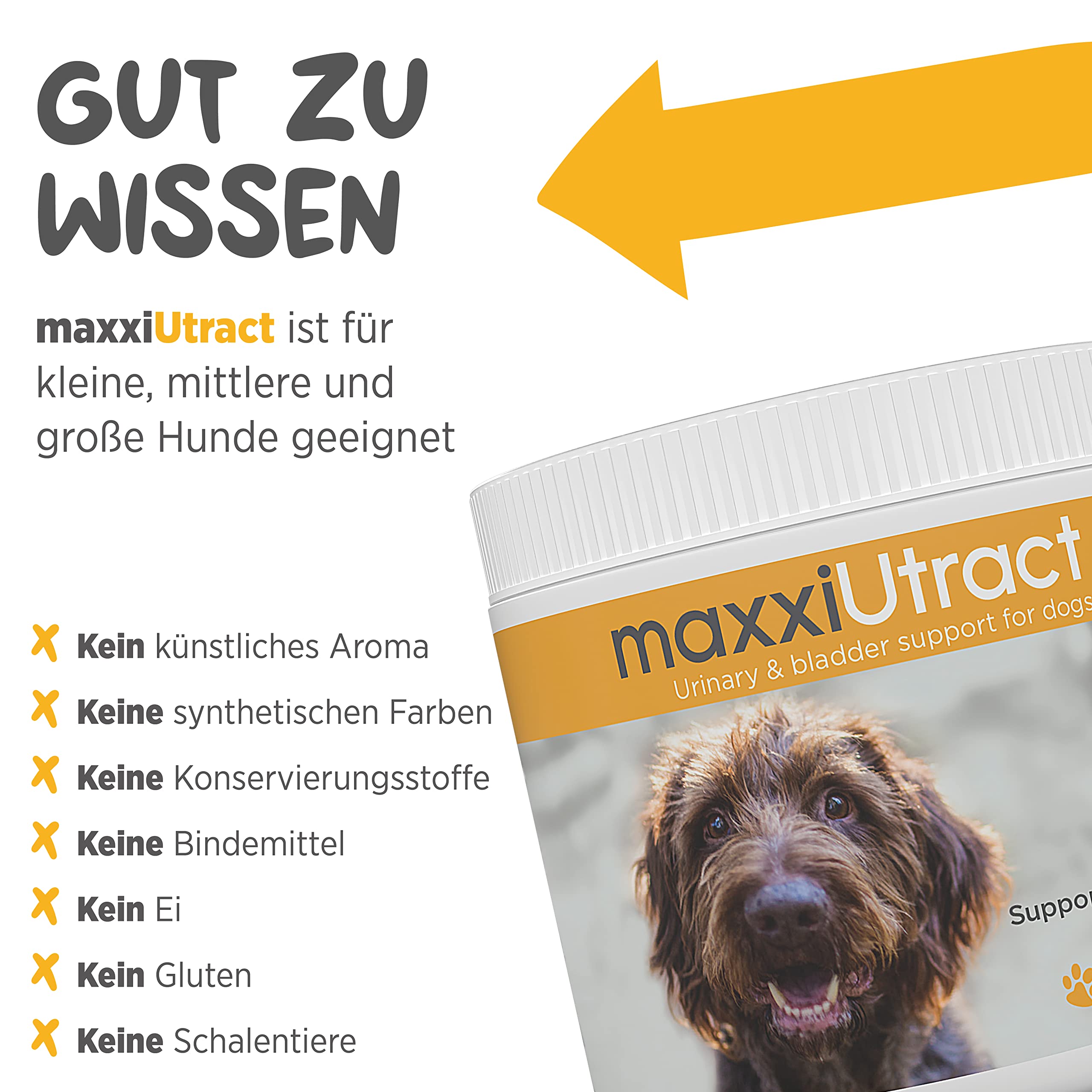 maxxipaws maxxiUtract Harnwegs- und Blasenunterstützung - Nahrungsergänzungsmittel in Pulverform für Hunde, 150g
