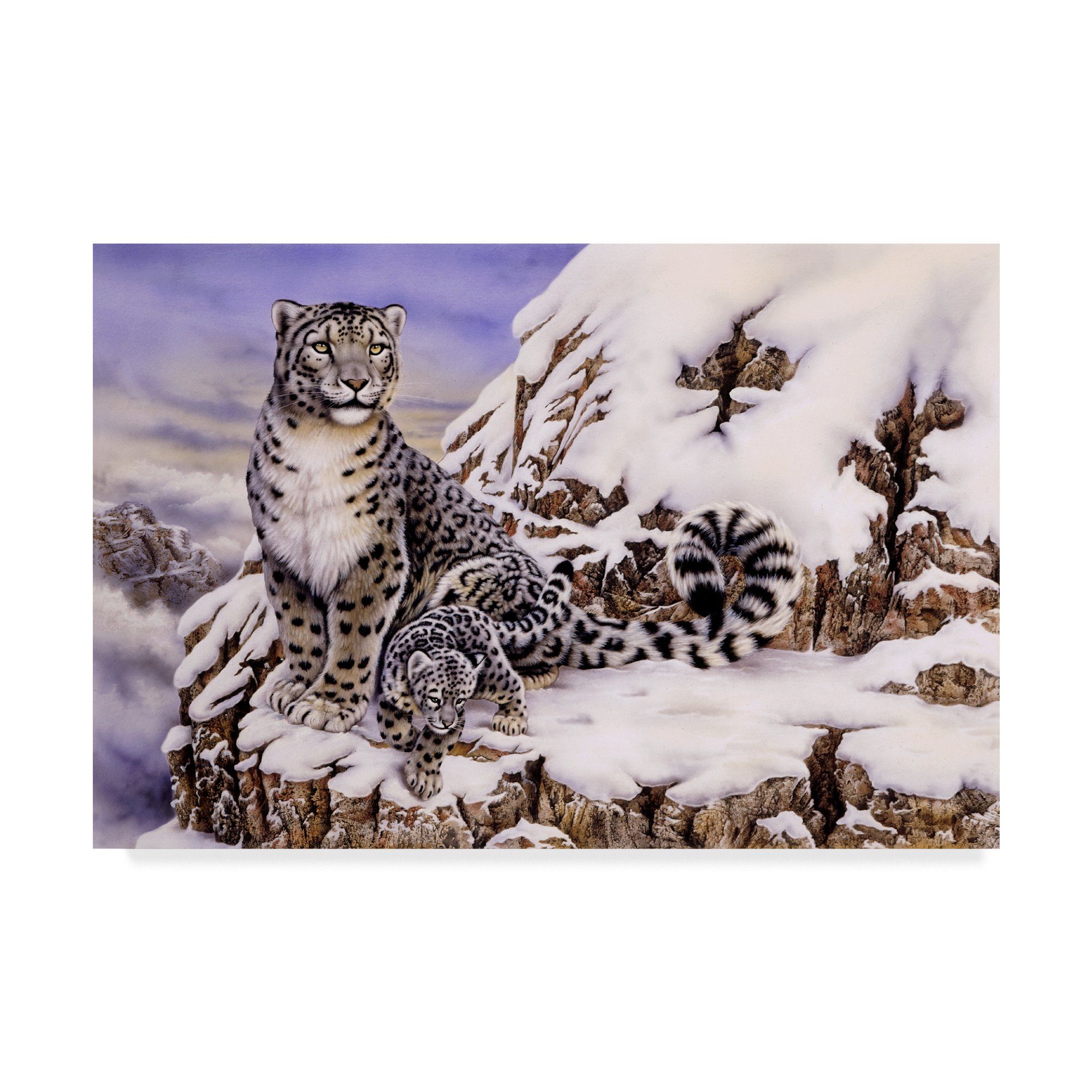 Trademark Fine Art ALI23886-C2232GG Snow Leopard by Howard