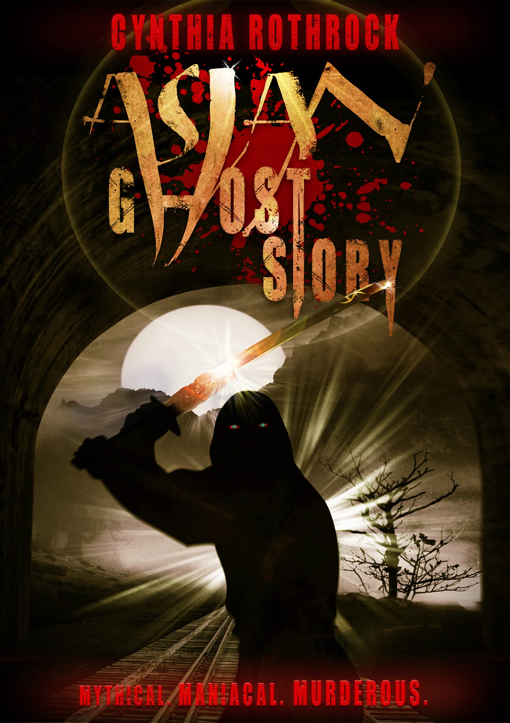 Asian Ghost Story Película DVD de Terror Asiático Importado