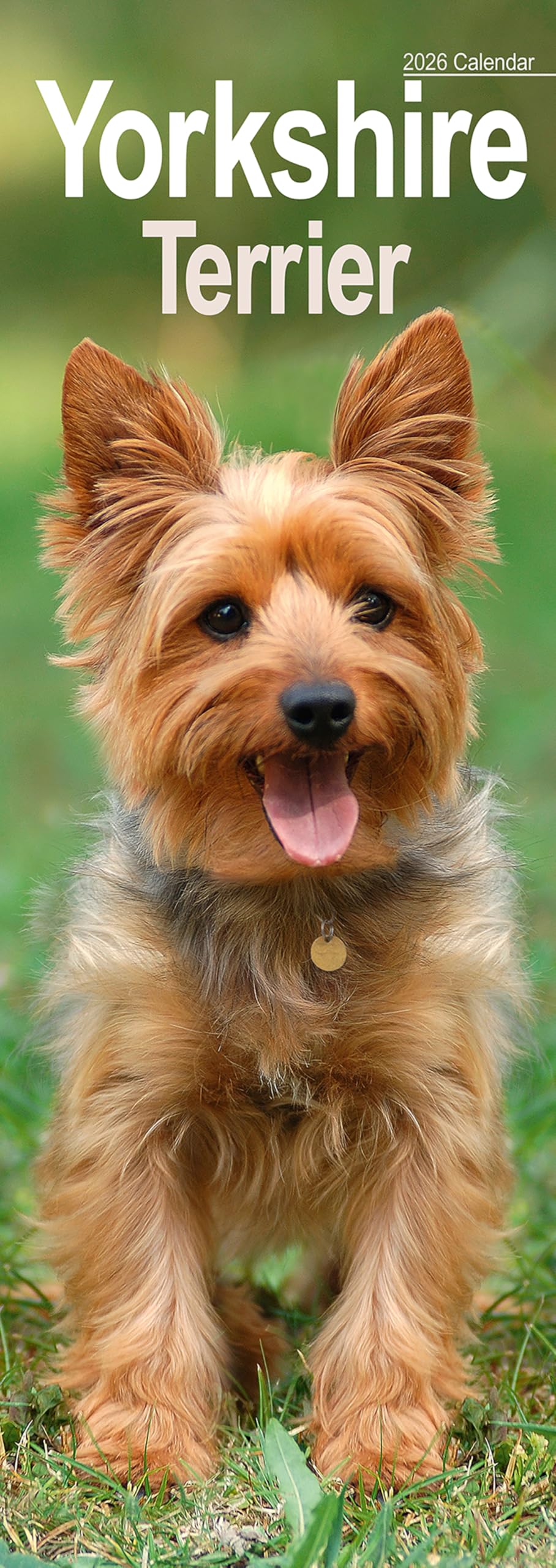 Yorkshire Terrier Slim Calendar 2026