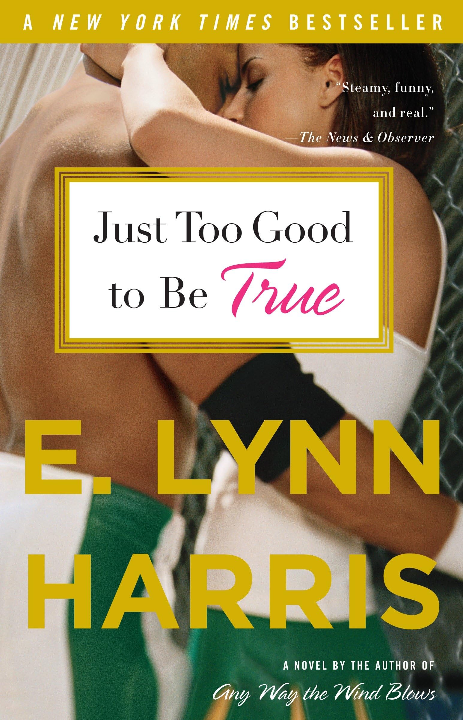 Just Too Good to Be True: Just Too Good to Be True: A Novel