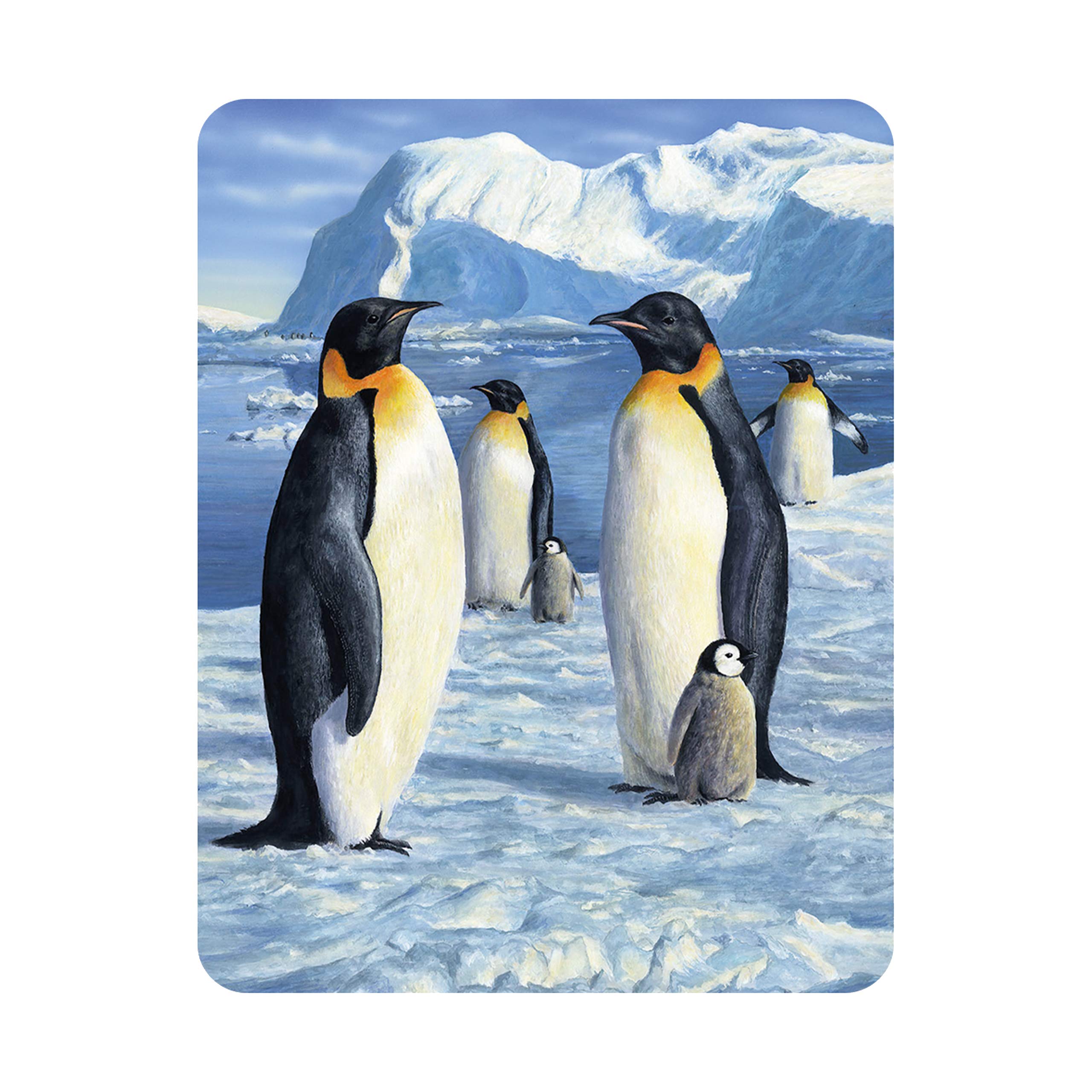 3D Livelife White And Black Magnet - Antarctic Majesty From Deluxebase. Lenticular Animal Fridge Magnet. Decorative 3D Penguin Flat Magnets. Cute Small Magnets For Fridge, Dishwasher And Whiteboard.