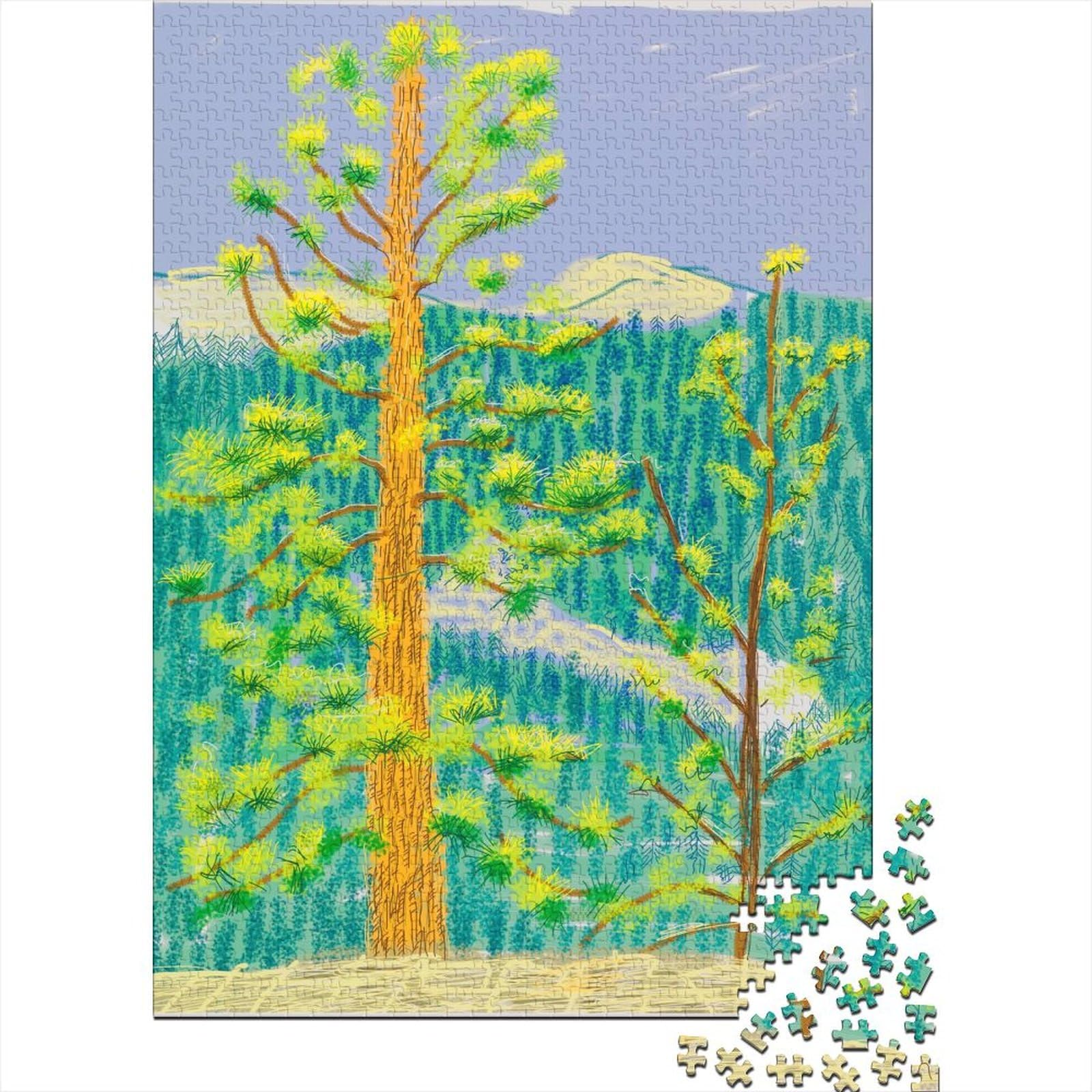 David Hockney Museum Jigsaw Wooden Puzzles Panoramic 1000 Piece Oil Painting Jigsaws Puzzle for Adults, World Famous Paintings Puzzle That Can Be Used for Home Decoration 1000 Pcs