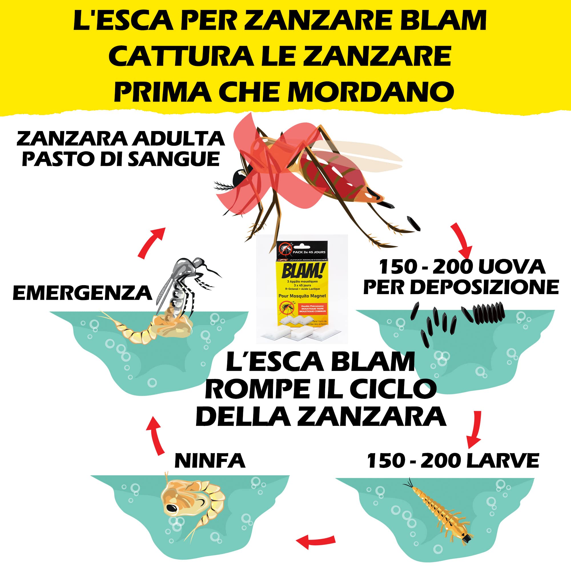 BLAM 3 Esche per zanzare compatibile Mosquito Magnet a doppio feromone: efficace su zanzare tigre e zanzare comuni grazie a R-Octenol e acido lattico (=Atrakta). 3x 45 giorni di efficacia