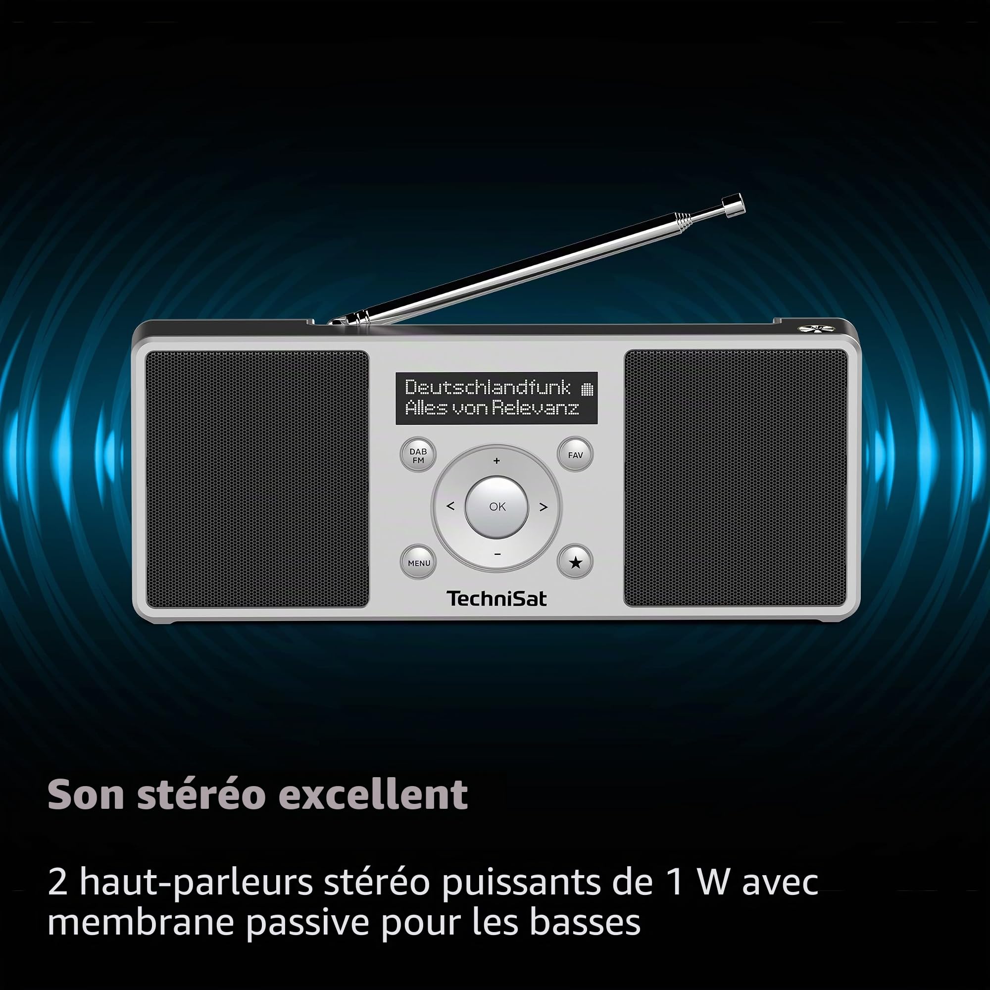 TechniSat DIGITRADIO 1 S - Radio Dab stéréo Portable avec Batterie Rechargeable (Dab+, FM, FM, Haut-Parleur, Prise Casque, mémoire des favoris, écran OLED, 2 W RMS) Argent/Noir | DAB, FM, haut-parleur, prise casque, mémoire préférée, écran OLED, 2 W RMS,