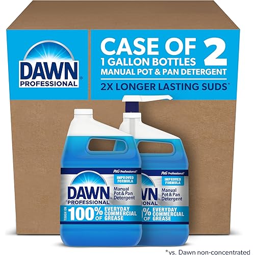 Dawn Professional Manual Pot and Pan Detergent, Dish Soap, Liquid Concentrate, 1 Gallon (Case of 2) with 1 Pump