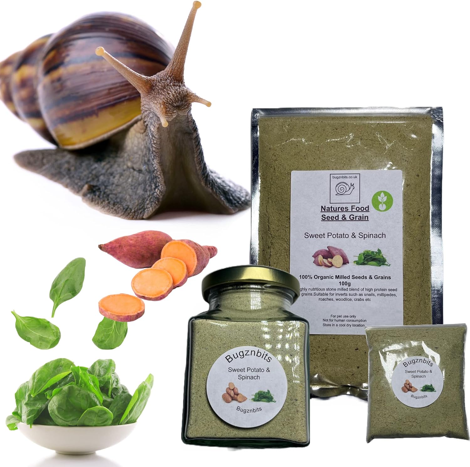 Bugznbits Giant African Land Snail Food, 100 Organic Blend with Sweet Potato & Spinach, Also
