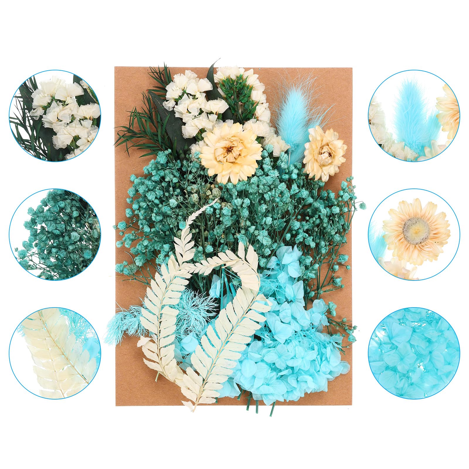 PATIKIL Pressed Flowers for Craft Bulk Dried Flowers Natural Pressed Flowers Leaves for Resin Soap Candle Scrapbooking DIY Gift Papermaking - Image 3