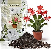 Vista 13 de Mezcla para macetas de tierra para suculentas y cactus, 1 cuarto de galón de alta calidad, transpirable y de drenaje rápido para plantas saludables