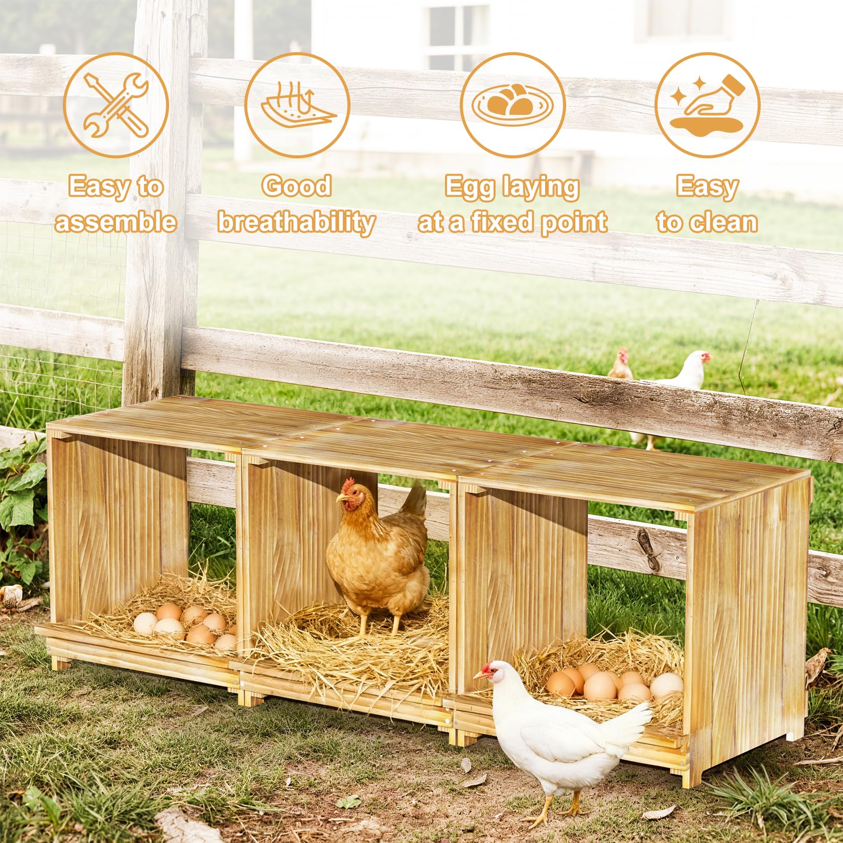 3 Posti Nido per Galline Polli Ovaiole in Legno di Pino Versatile Sicuro | Facile da montare e utilizzare 105x30x36 cm