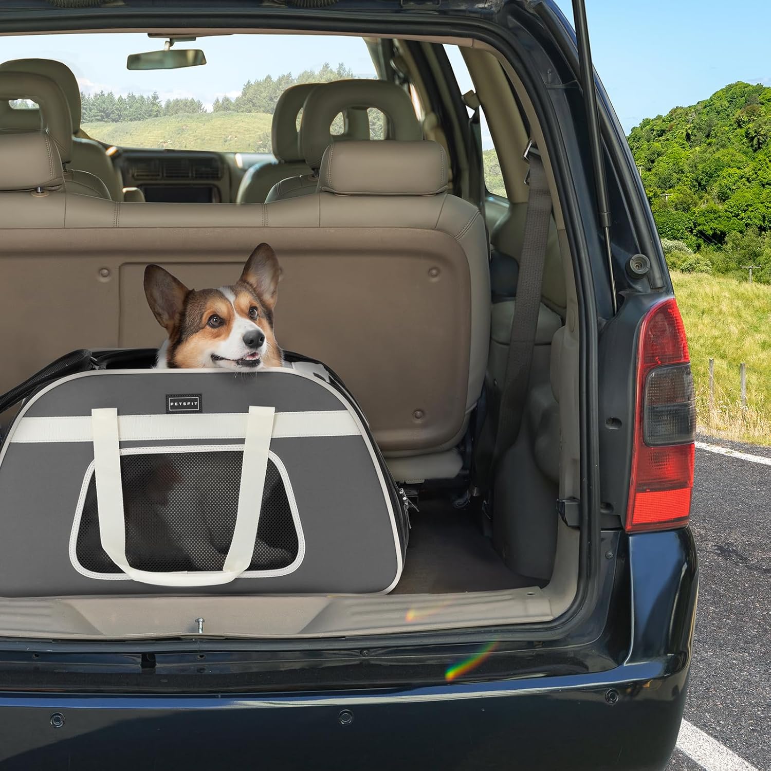 PETSFIT Large Pet Carrier with Wheels Designed for 2 Small Dogs/Multiple Kittens/Medium Dogs with Adjustable Safety Rope & Waterproof Bottom(𝑵𝒐𝒕 𝒂𝒊𝒓𝒍𝒊𝒏𝒆 𝒂𝒑𝒑𝒓𝒐𝒗𝒆𝒅)