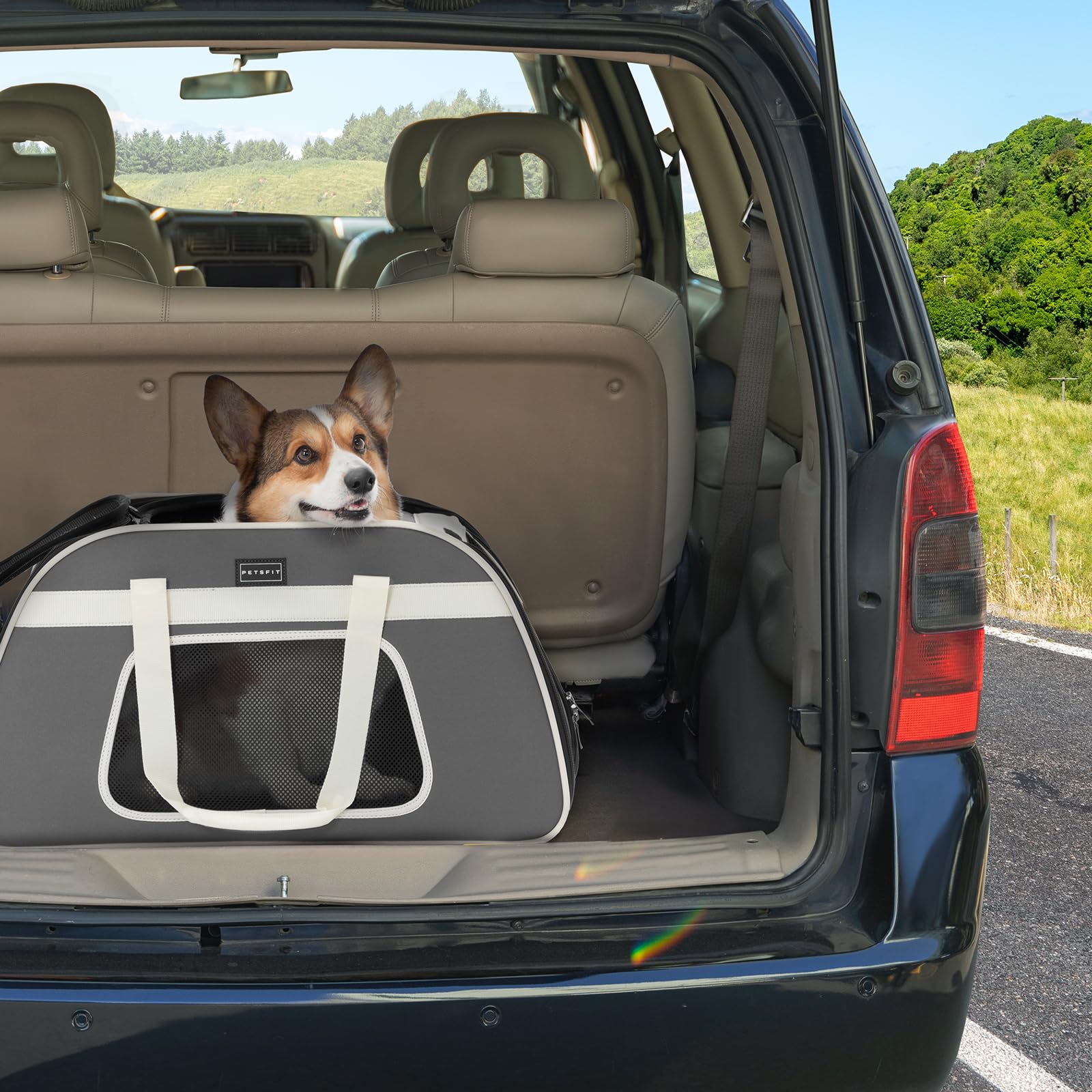 Petsfit Sac Transport Chat avec roulettes Amovibles, Grand Sac de Transport pour Chat pour 2 Chats, Pliable sur roulettes, Chats ou Chiens de Taille Moyenne, avec Fond Imperméable, L/Gris