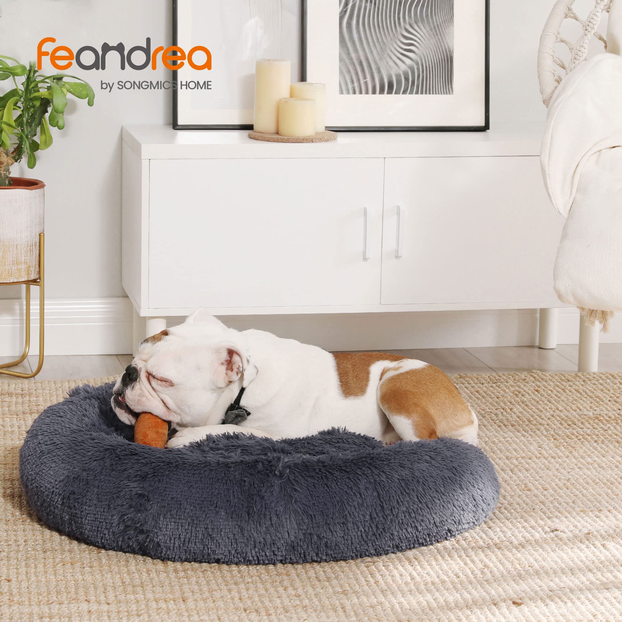 Feandrea Cuccia Cane Interno, Cuccia per Cani, Lettino per Animali Domestici a Ciambella, Cuscino Sfoderabile e Lavabile, Tappeto di Peluche, Diametro 80 cm, Grigio Scuro PGW040G02