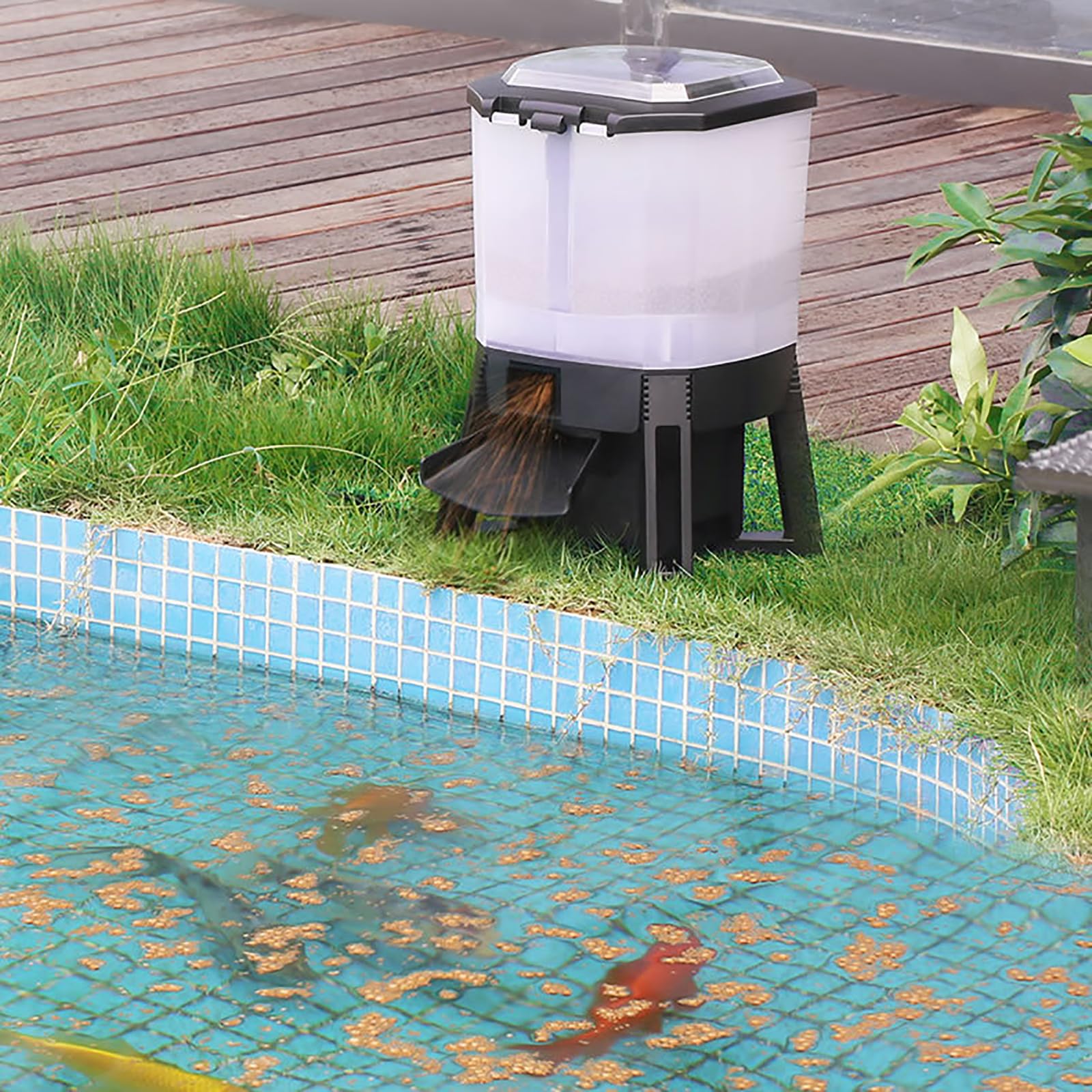 Distributeur de Nourriture Électrique pour Poissons, Mangeoire Solaire Automatique pour Poissons, Distributeur de Nourriture pour Aquarium 6l Grande Capacité, Conception d'alimentation dispersée à 120