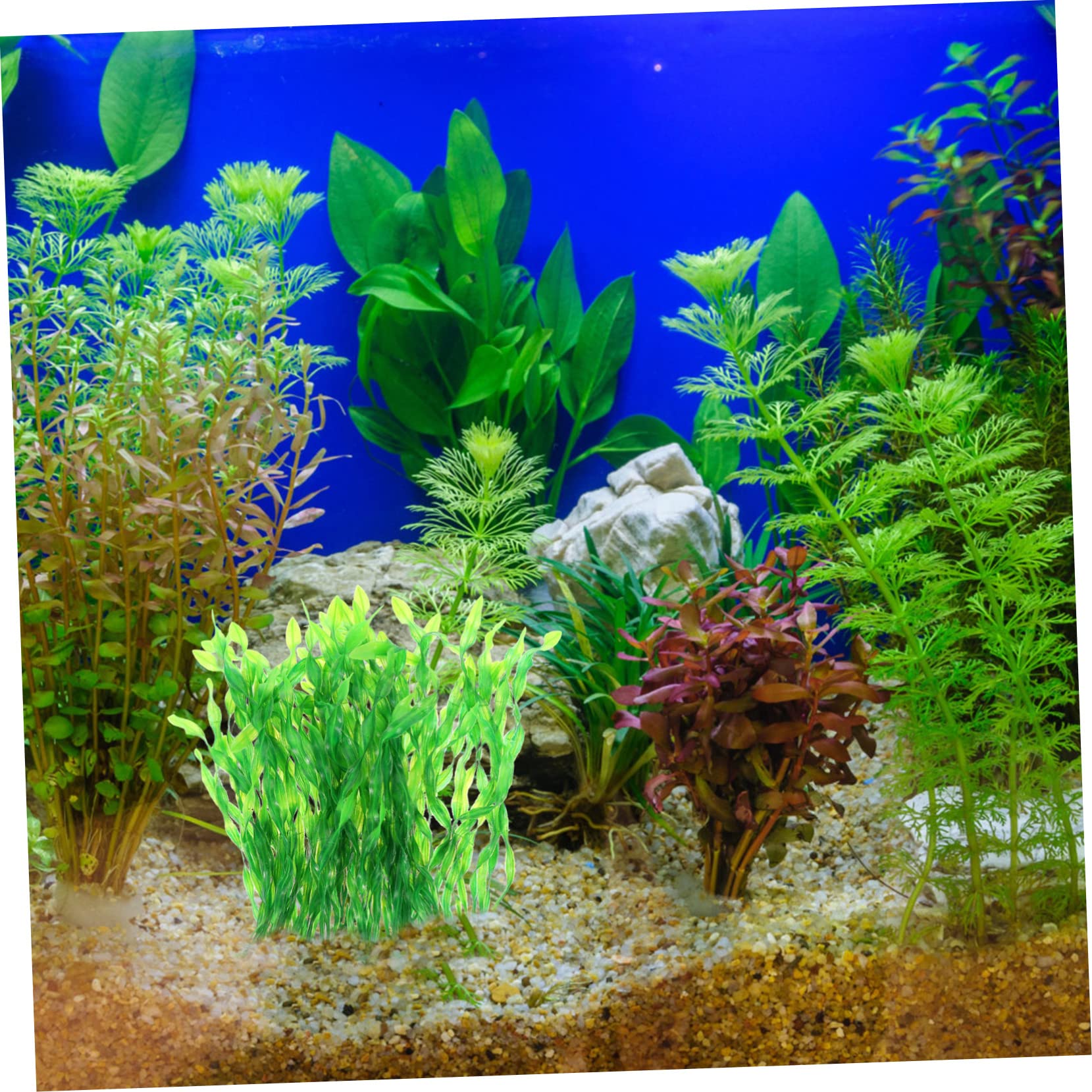 Sosoport 40stücke Künstliche Wasserpflanzen Für Aquarien Dekoration Mit Kelp-Gras Für Fischbecken Für Unterwasserlandschaften