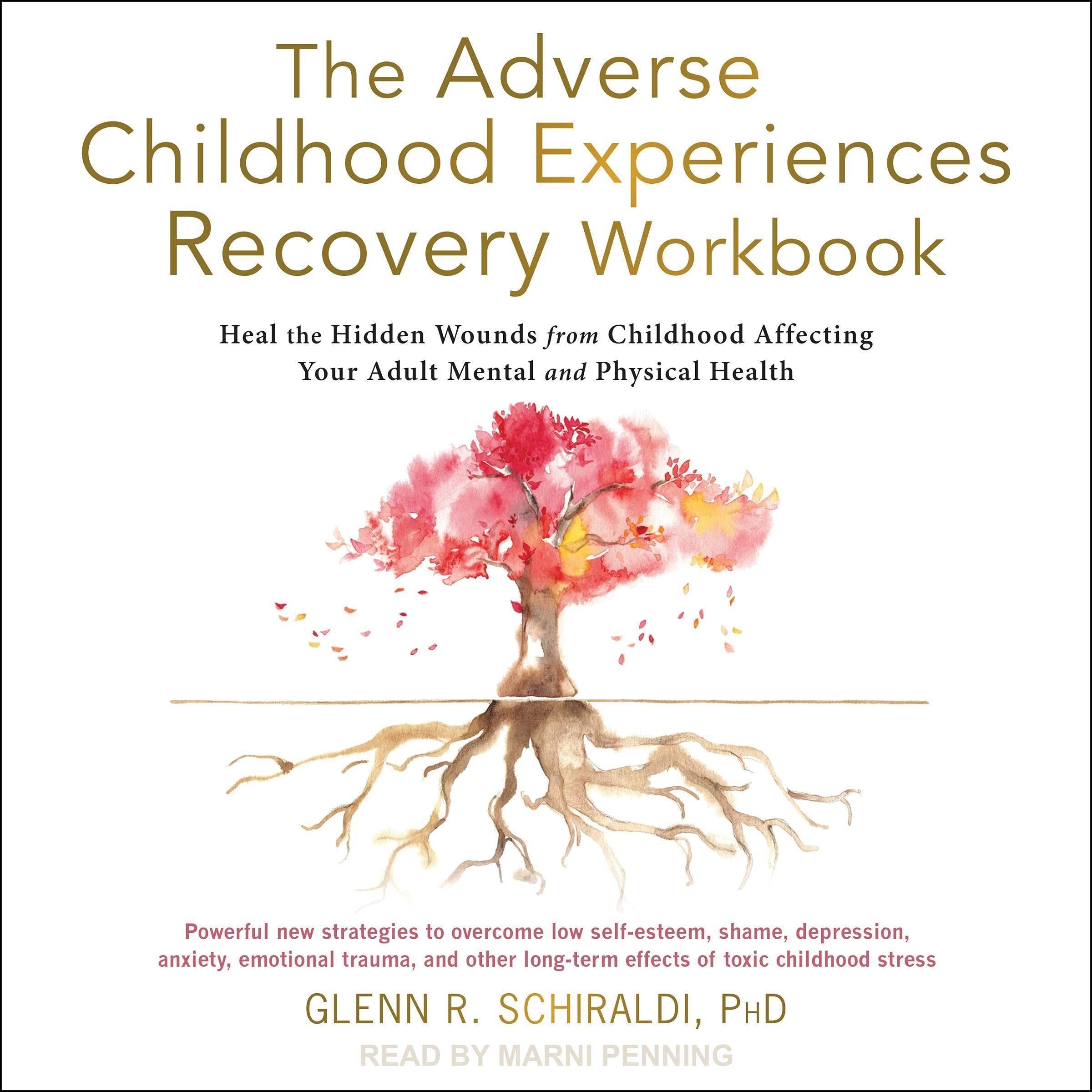Cover art for The Adverse Childhood Experiences Recovery Workbook