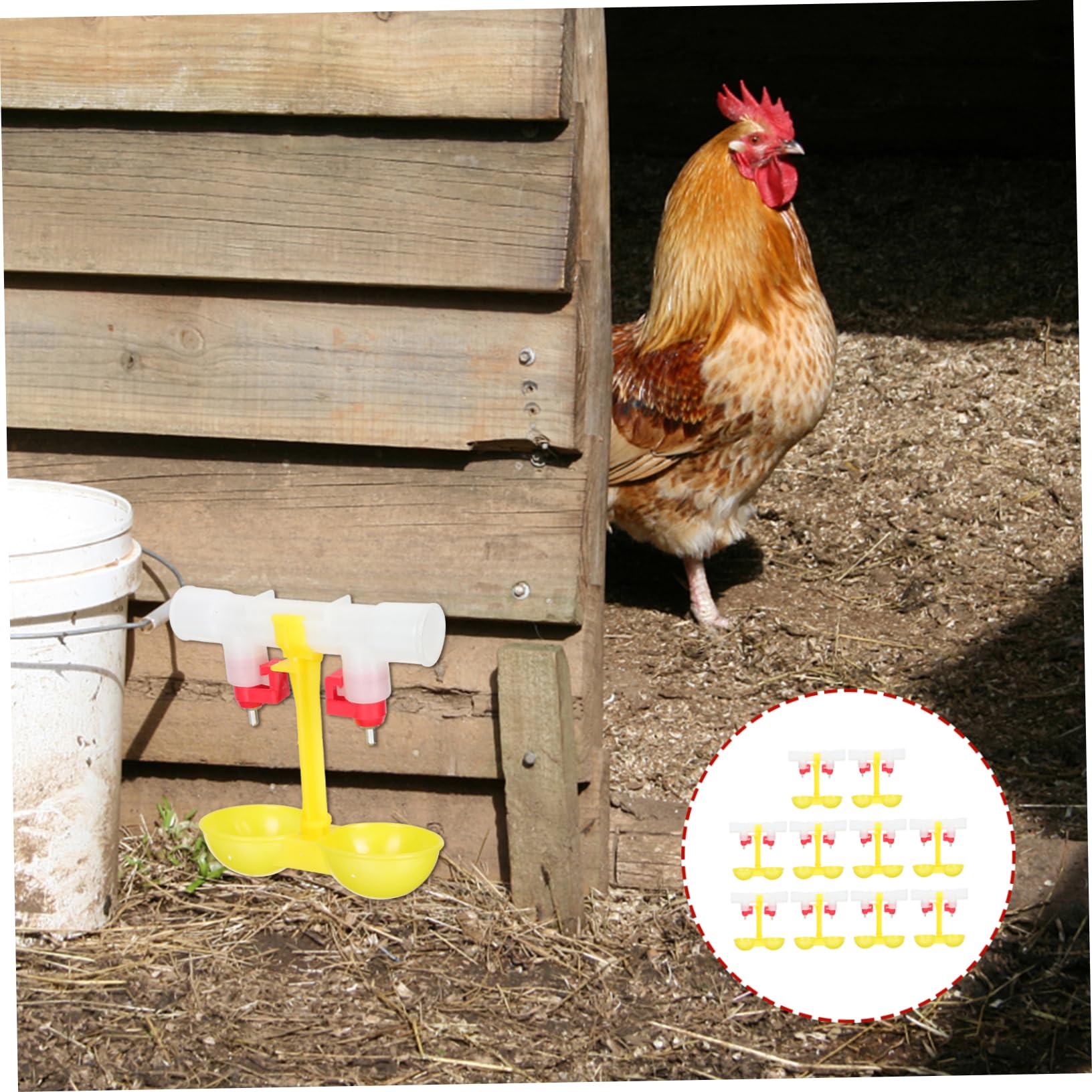 Abbeveratoio per Galline Automatico 10 Pezzi in Acciaio Inox | 360° Nipples, Erogazione Automatica Dell'acqua, per Pappagalli e Altri Uccelli