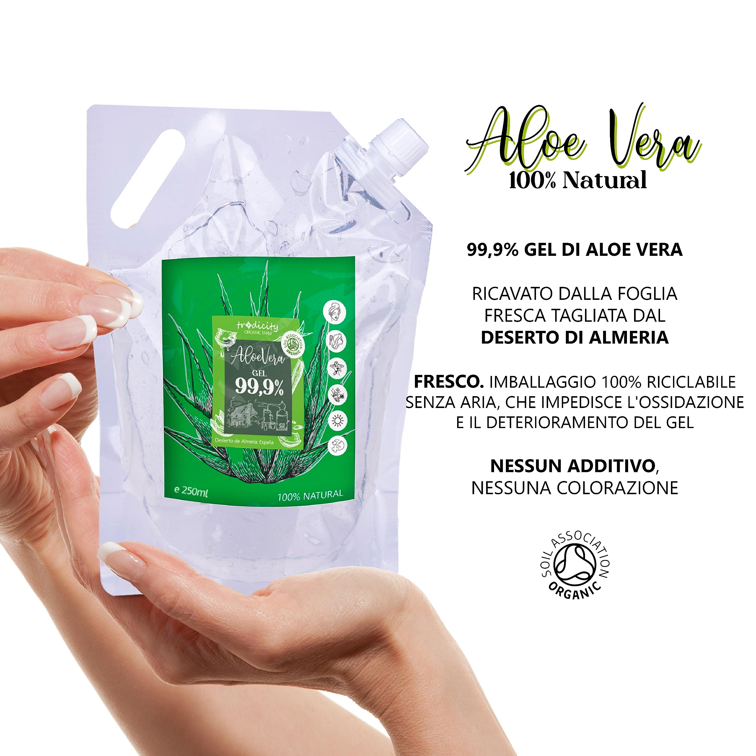 aloe vera pflanze edeka Aloe Vera Blätter kaufen