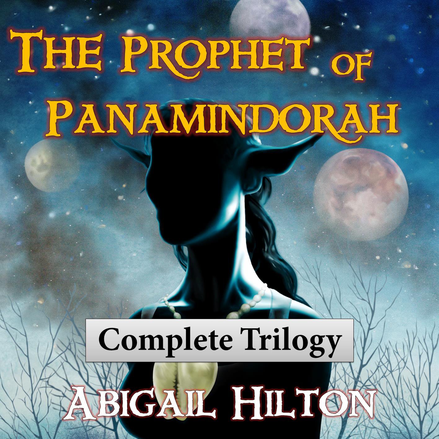 Cover art for The Prophet of Panamindorah