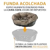 Ver la foto 5