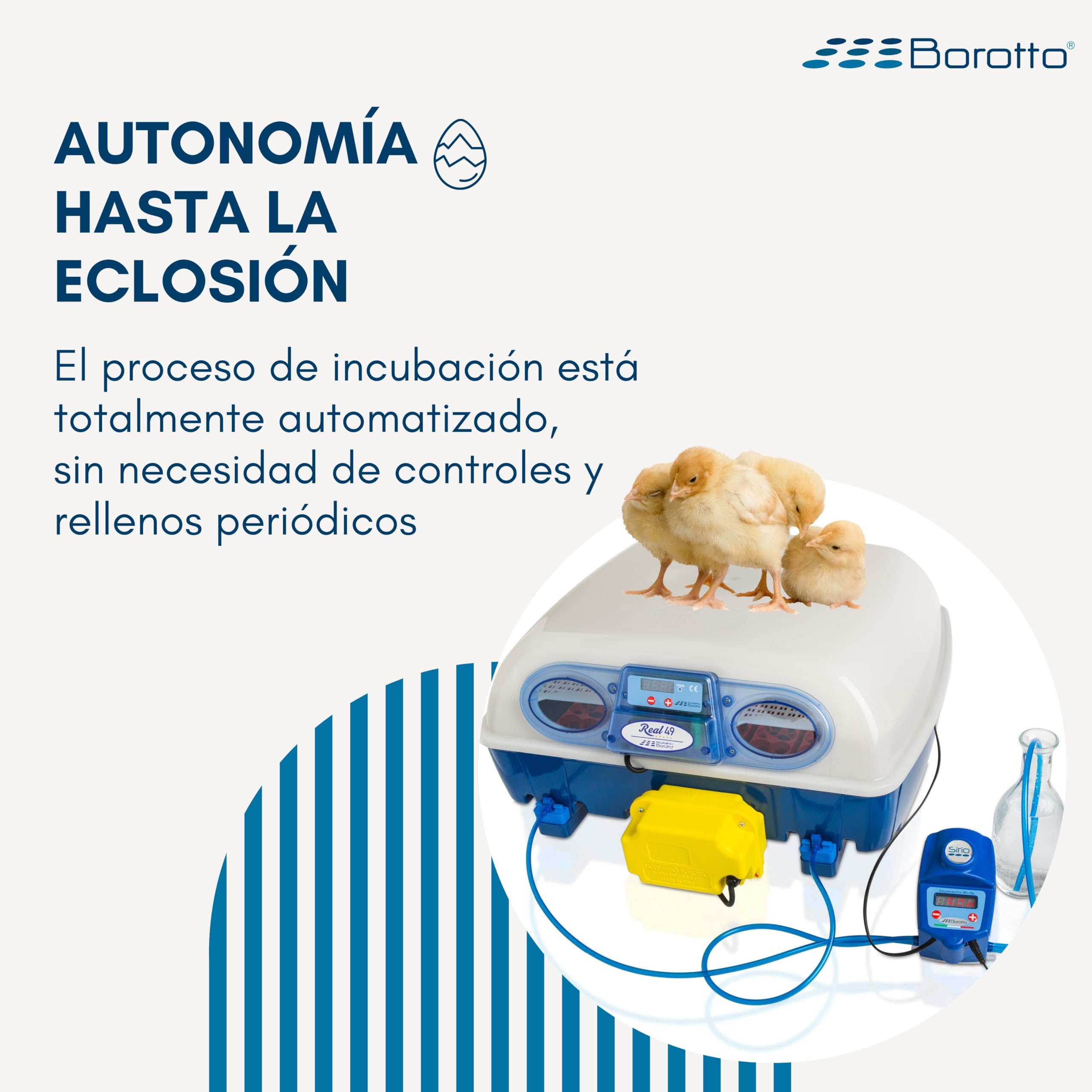 Borotto Sirio | Humidificador Profesional Patentado y Automático, con Evaporación Dinámica, Compatible con Todas las Incubadoras de Huevos | Fabricado en Italia
