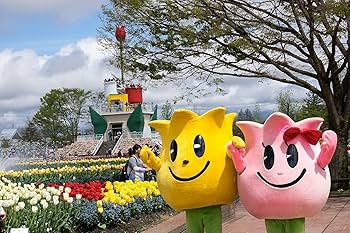 富山県産チューリップ特大球 100球入 オレンジ チューリップ特大球100球 オレンジ【ご注文締切：2025/11/30