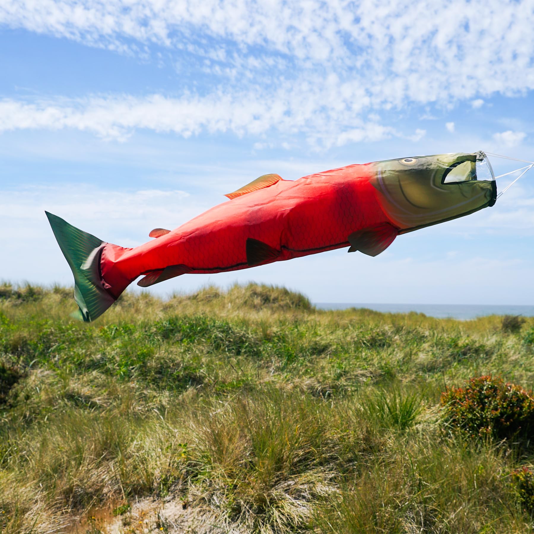In the Breeze 5118 Sockeye Lachsfisch Windsack zum Aufhängen für den Außenbereich, 121 cm