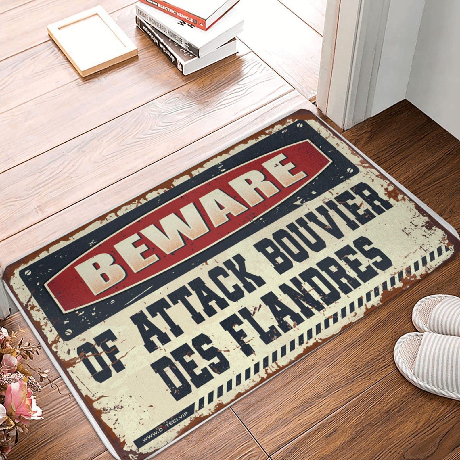 Tapis Bouvier des Flandres pour porte d'entrée anti-boue et sable extérieur 65x90