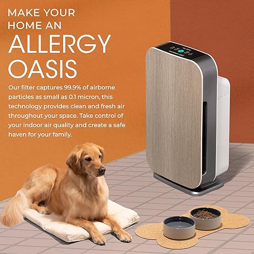 Miniatura 8 de Alen BreatheSmart Flex Purificador de aire personalizable, con filtro de alta eficaciadepartículas de aire, puro para quitar las alergias y el polvo