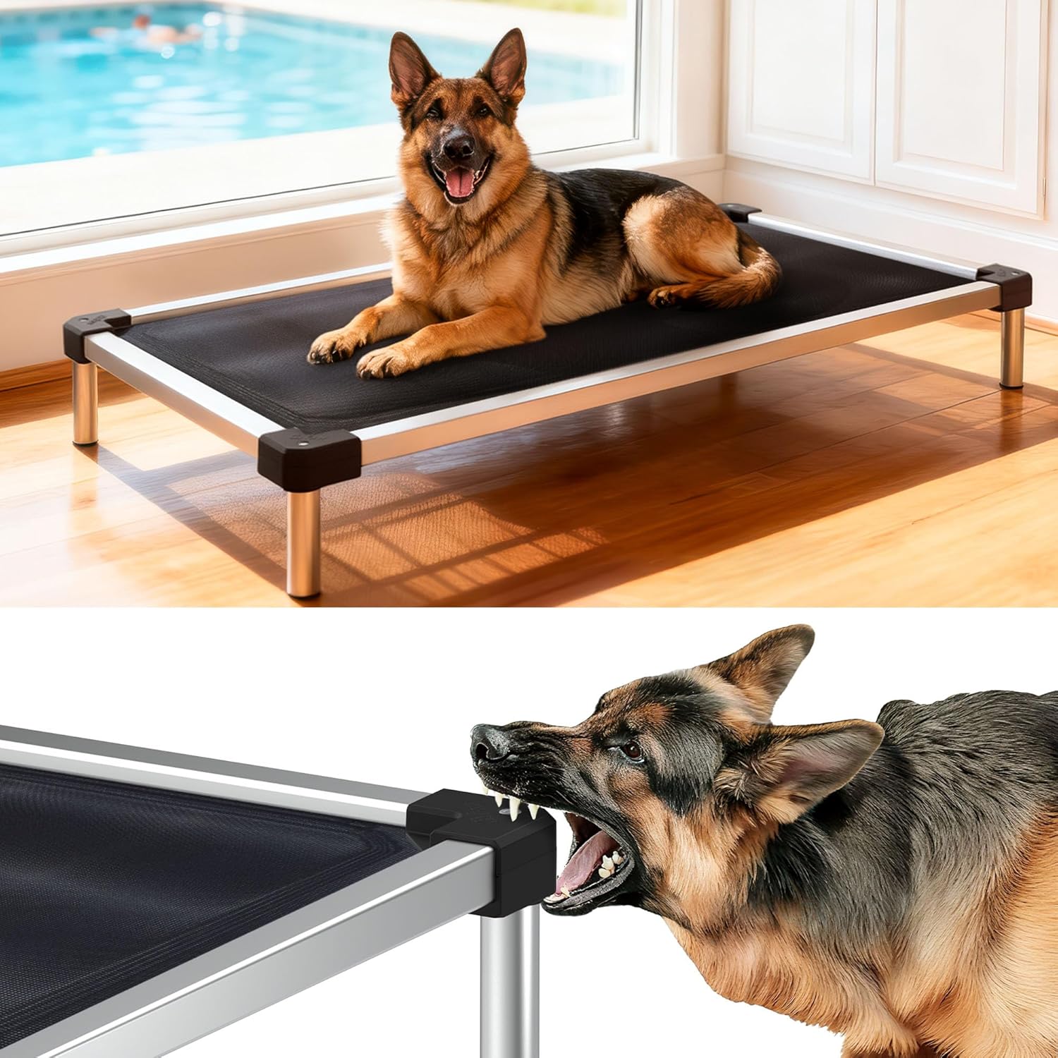 FXW TitanNest Chew-Proof Elevated Dog Bed, Raised Cot for Indoor/Outdoor/Camping Use, Durable & Waterproof Cooling Pet Bed for Large Dogs, 50.0″ L x 31.0″ W x 7.3″ H, Black