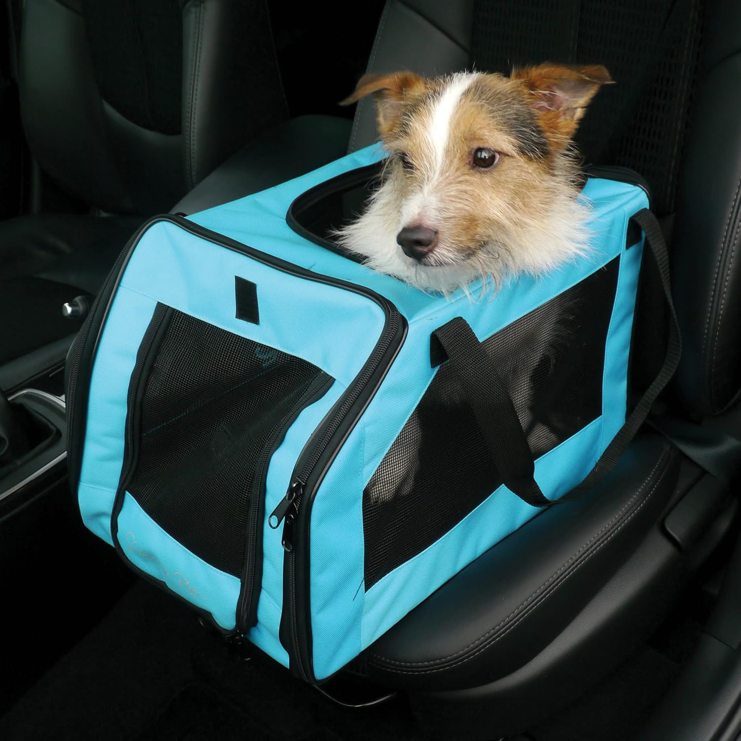 Rosewood Options Pet Car Seat Carrier, Medium, Aqua