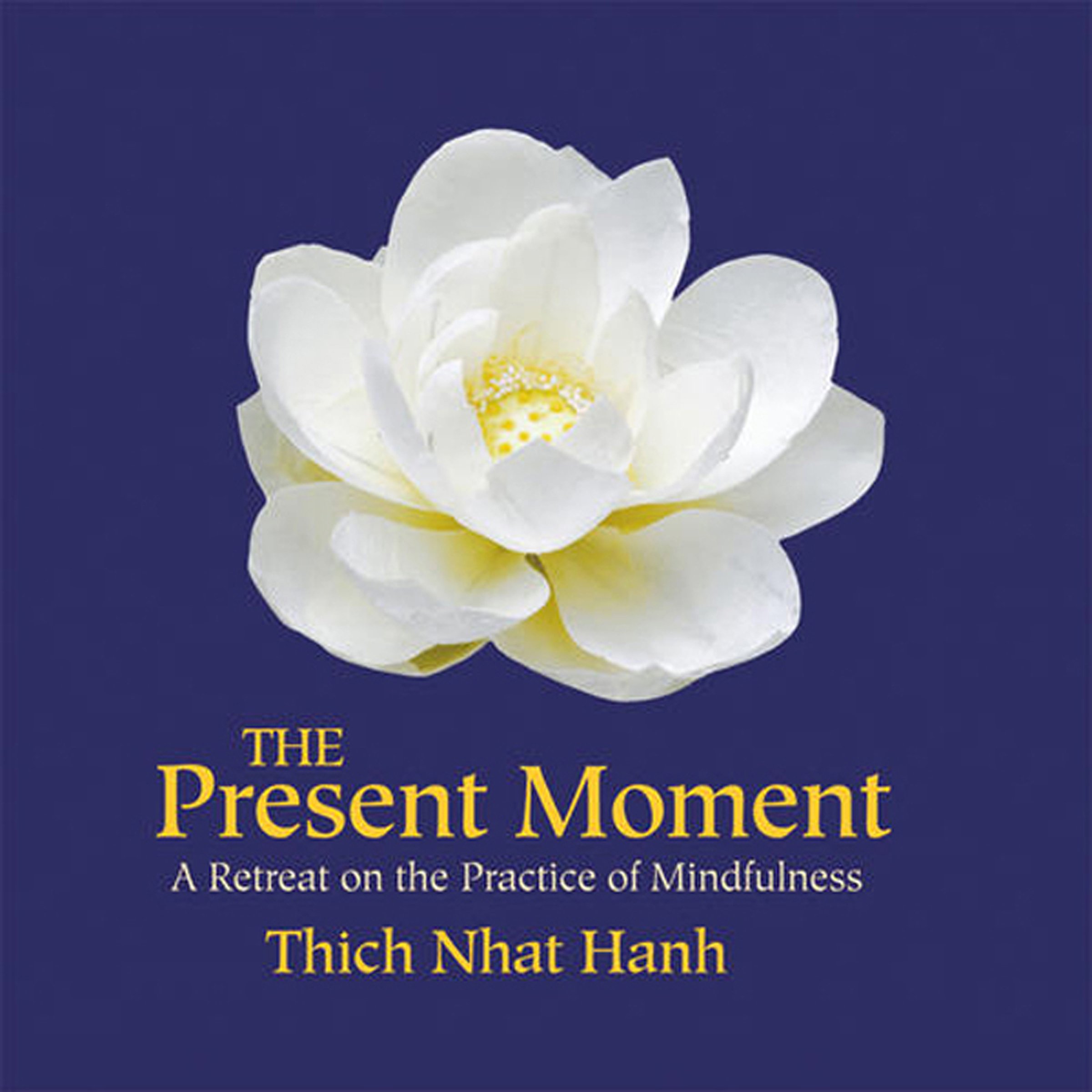 Cover art for The Present Moment