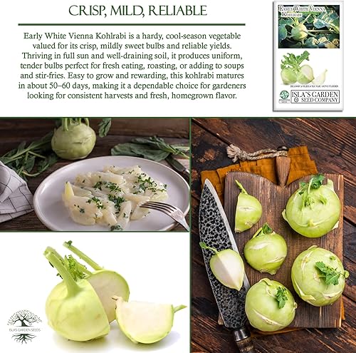 Miniatura 5 de Semillas blancas de colinabo de Viena tempranas, 300 semillas de reliquia por paquete, (semillas de jardín de Isla), semillas sin OMG, nombre