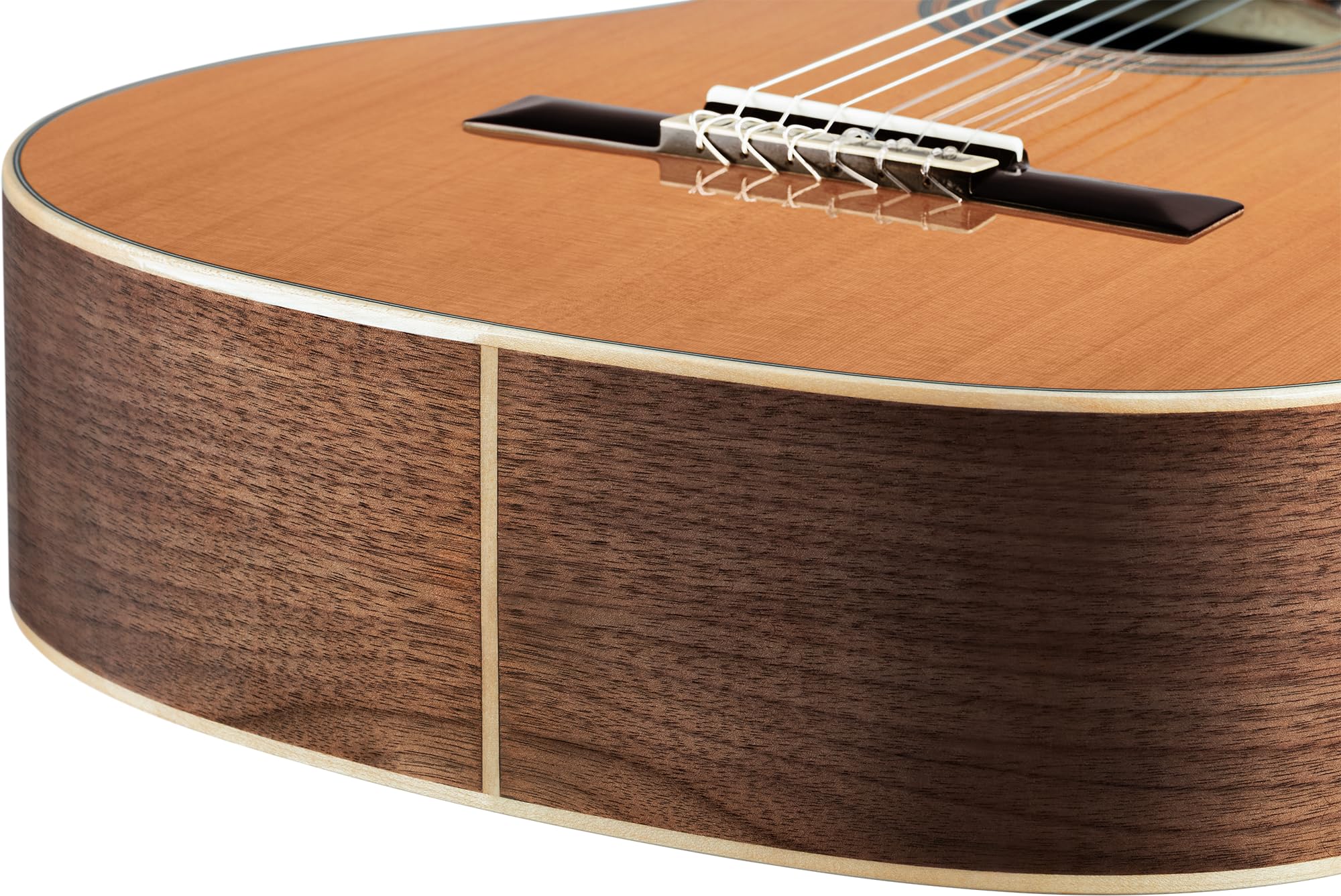 Ortega Traditional Series - Chitarra con corde in nylon, realizzata a mano in Spagna, con manico sottile e custodia professionale (R20GSNWN)