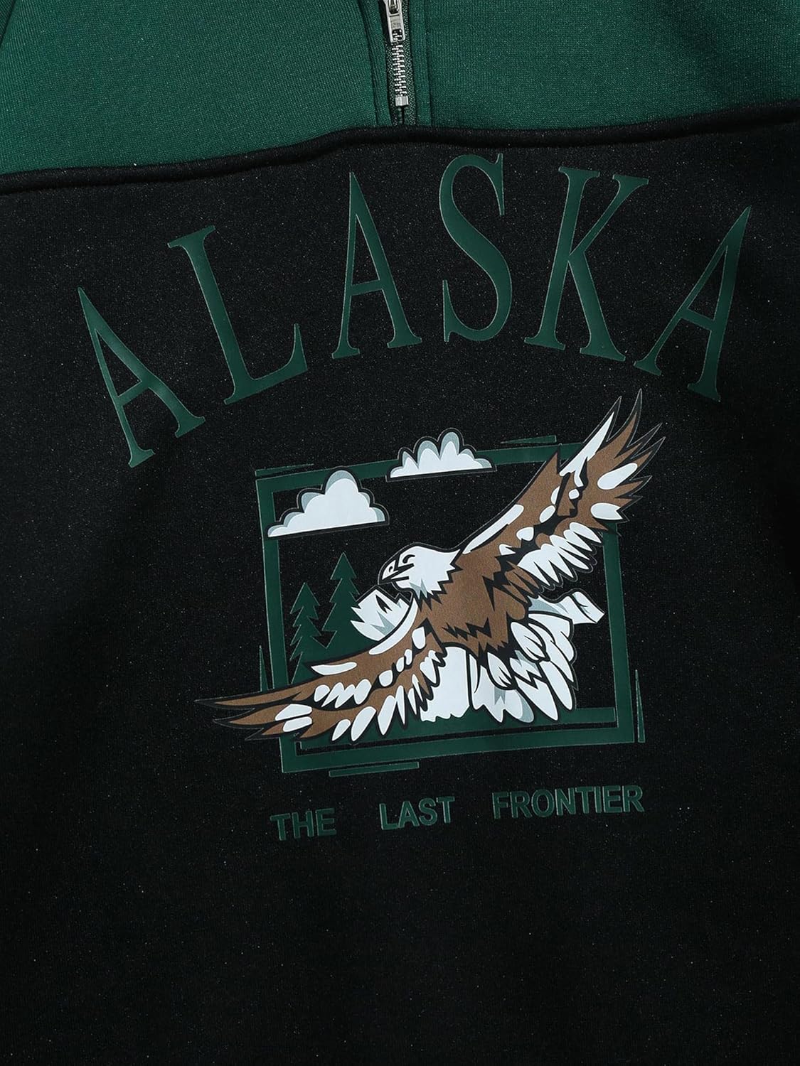 ZAFUL Men's Letters Embroidered Raglan Sleeve Quarter Zip Fleece Vintage Pullover Sweatshirt (ALASKA-Black Green, Large) - Image 4