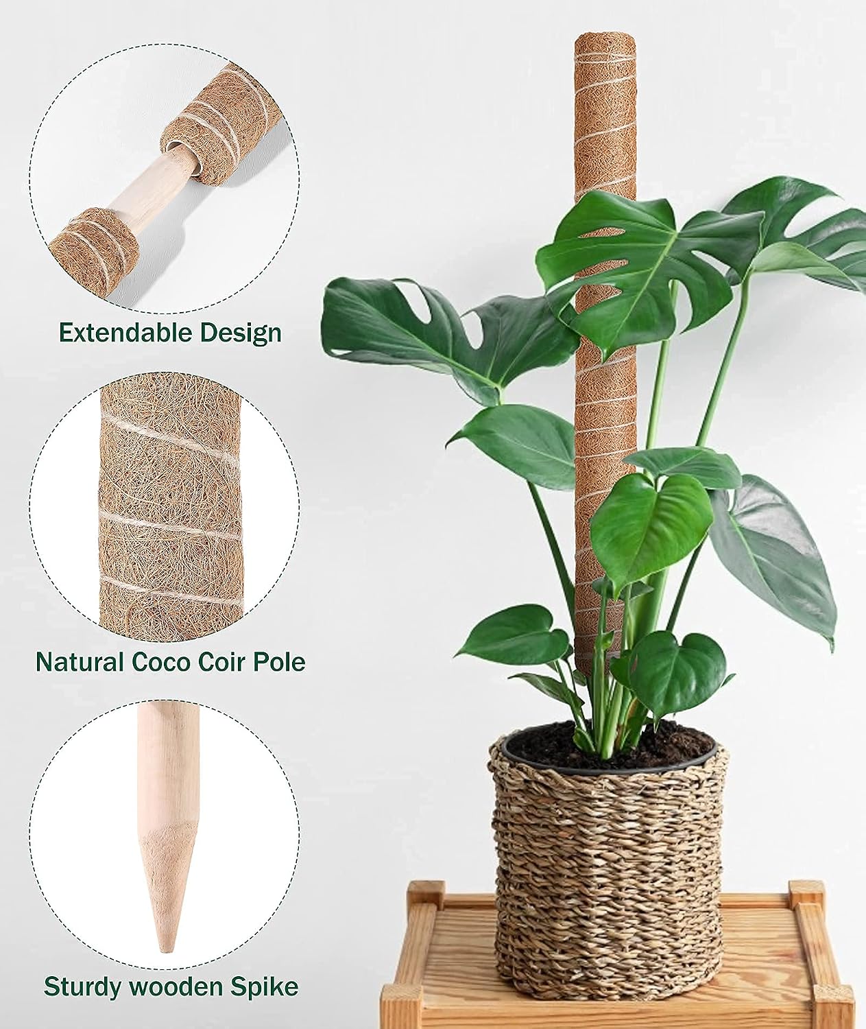 Moss Pole, 2 x 12'' Coir Poles Extending to 19.7'', Totem Sticks, Plant Post Stake, Plant Support Poles with 20Pcs Adjustable Ties and 17ft String, for Indoor Potted Plants, Monstera, Pothos, Creepers