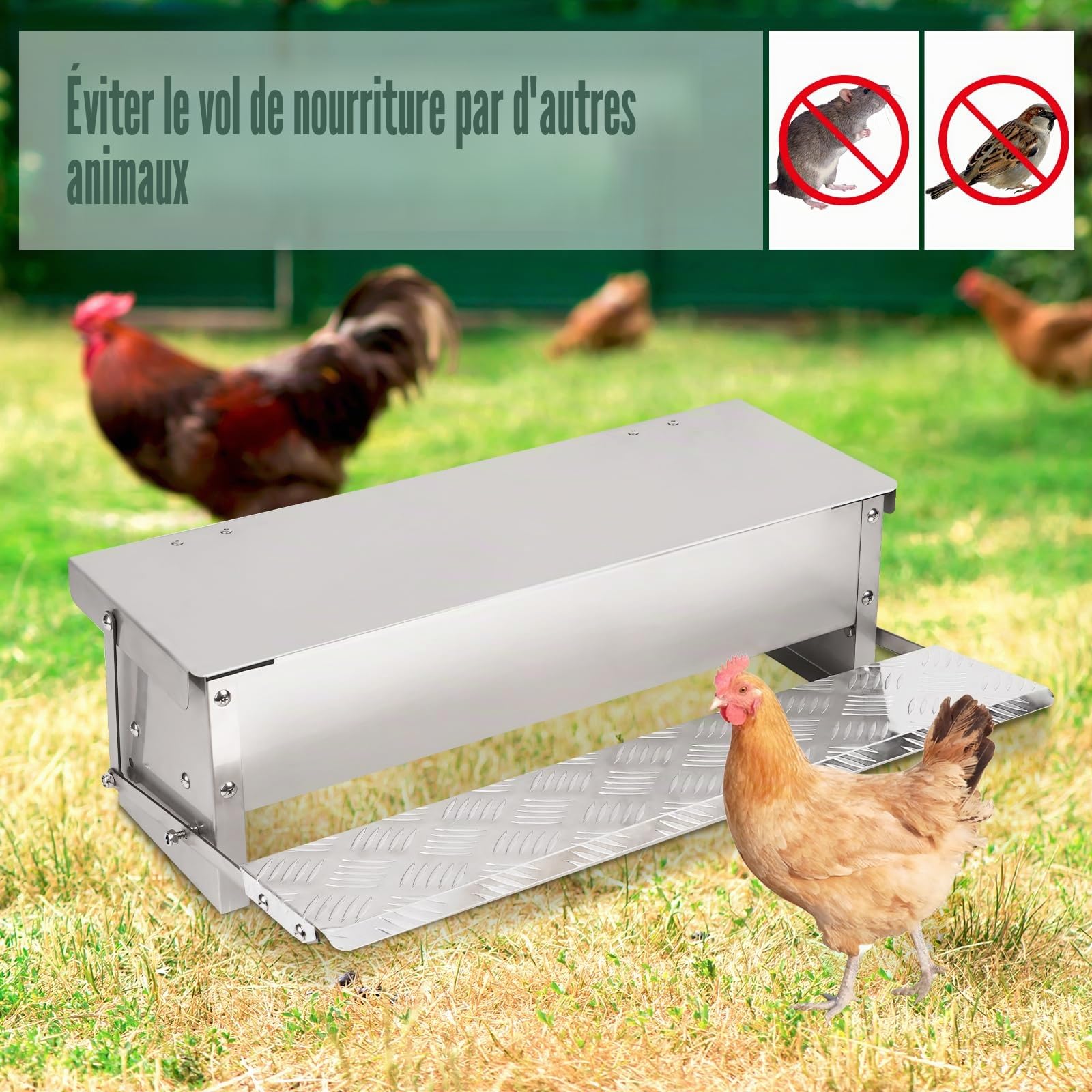 Mangeoire Automatique à Pédale 5kg en Métal pour Volailles, Distributeur de Nourriture avec Couvercle et Cuillère Métallique, Mangeoire Extérieure pour Poulets, Canards, Poulaille