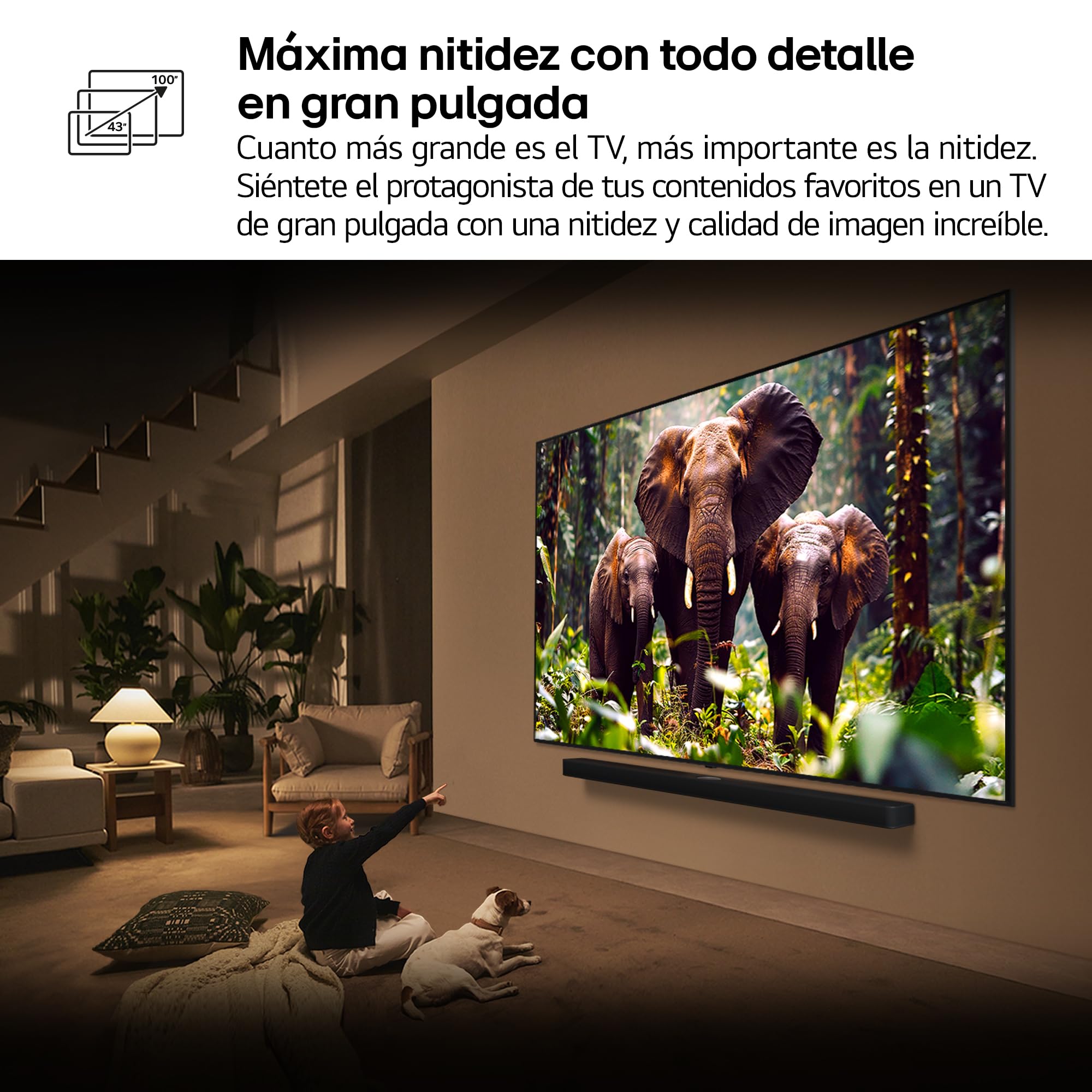 LG 55QNED84A6C - TV 55", 4K QNED EVO, Smart TV, WebOS 25, Procesador Potente e Inteligente, Super Upscaling, Dolby Dilgital Plus, Alexa/Google Assistant, Negro