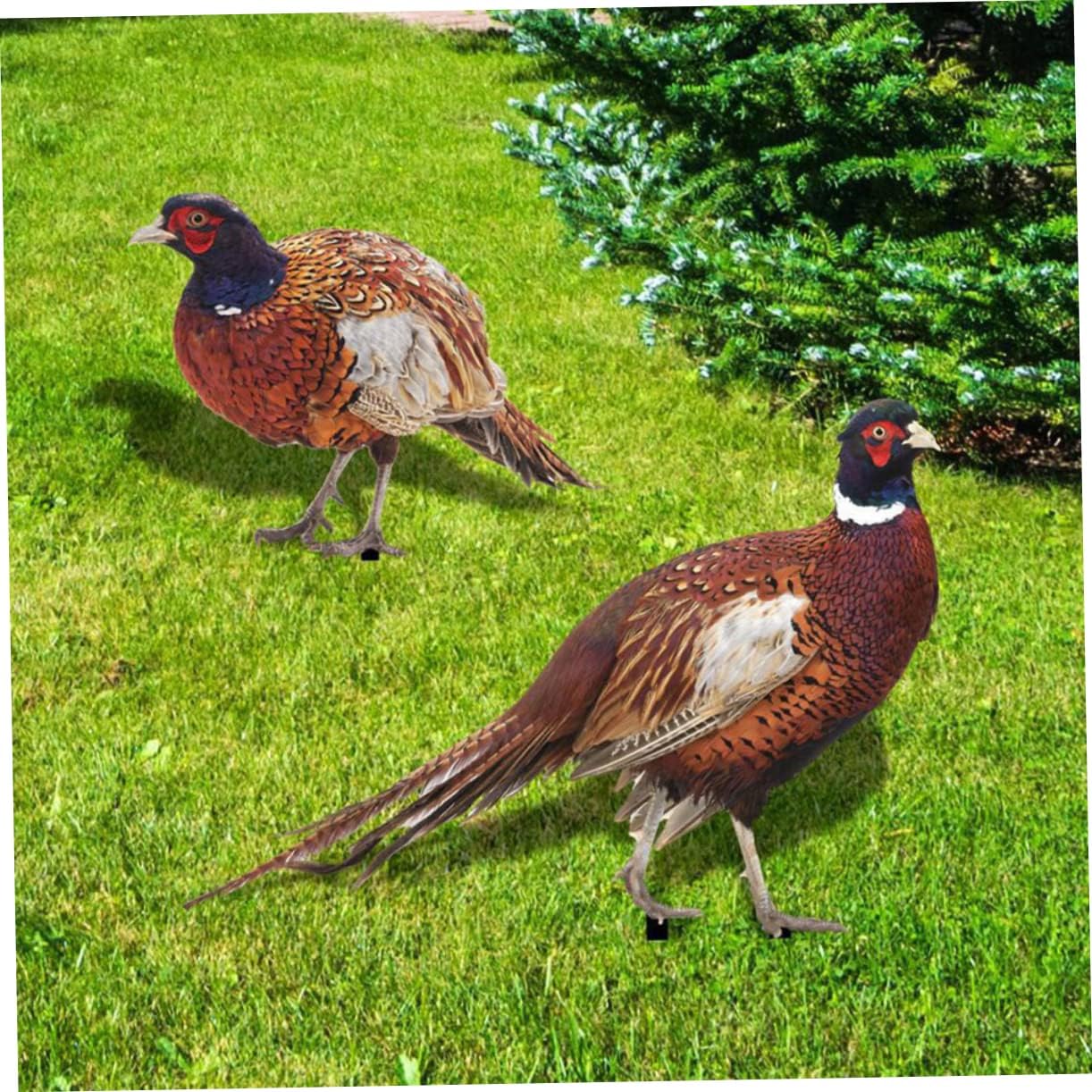 Healifty 2 Sets Realistic Double Sided Pheasant Garden Stake Decoration Durable Acrylic Ornament for Outdoor Lawn Patio UV Resistant Chicken Stake for Vibrant Garden Display