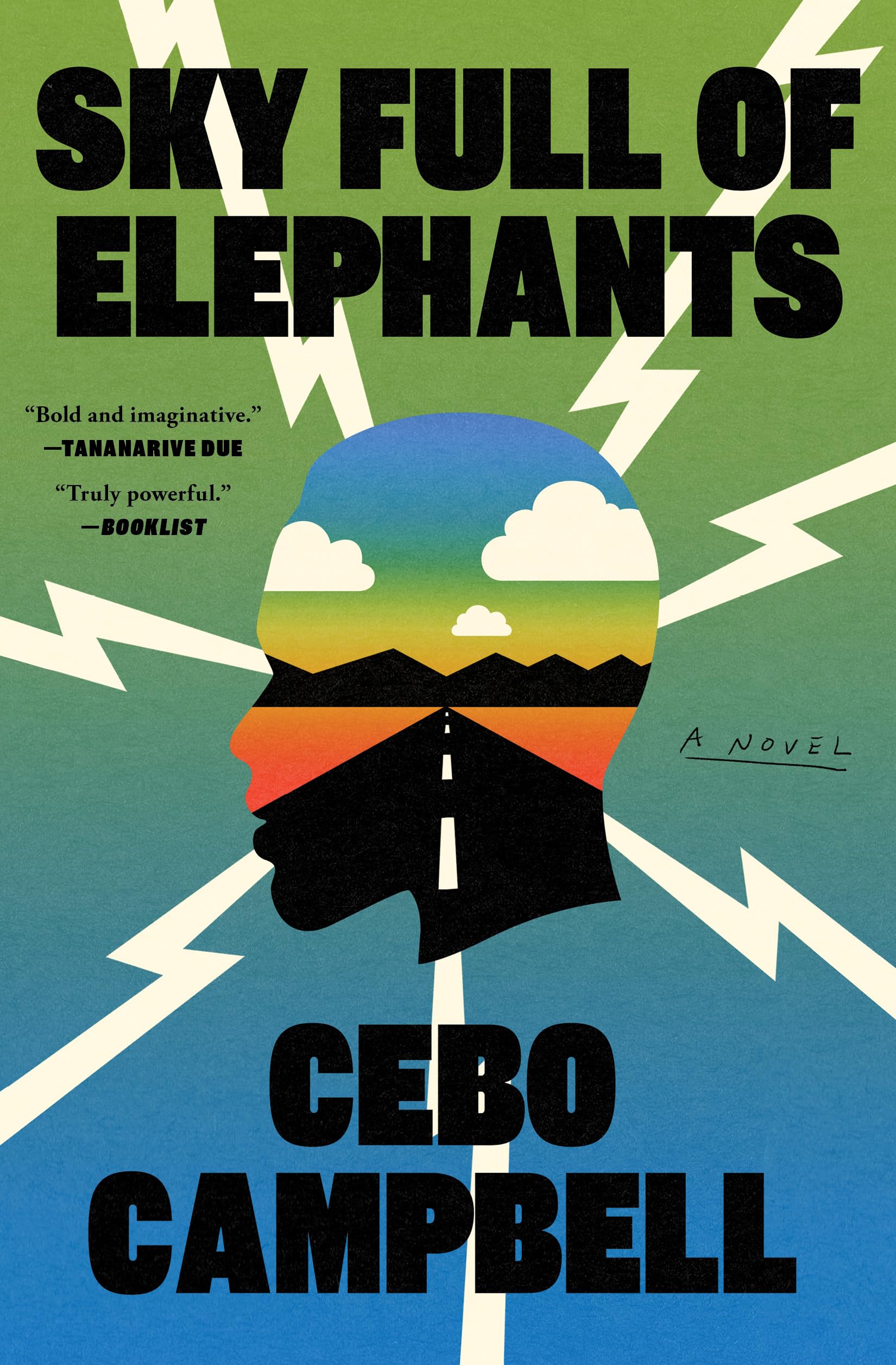 Sky Full of Elephants : A Novel