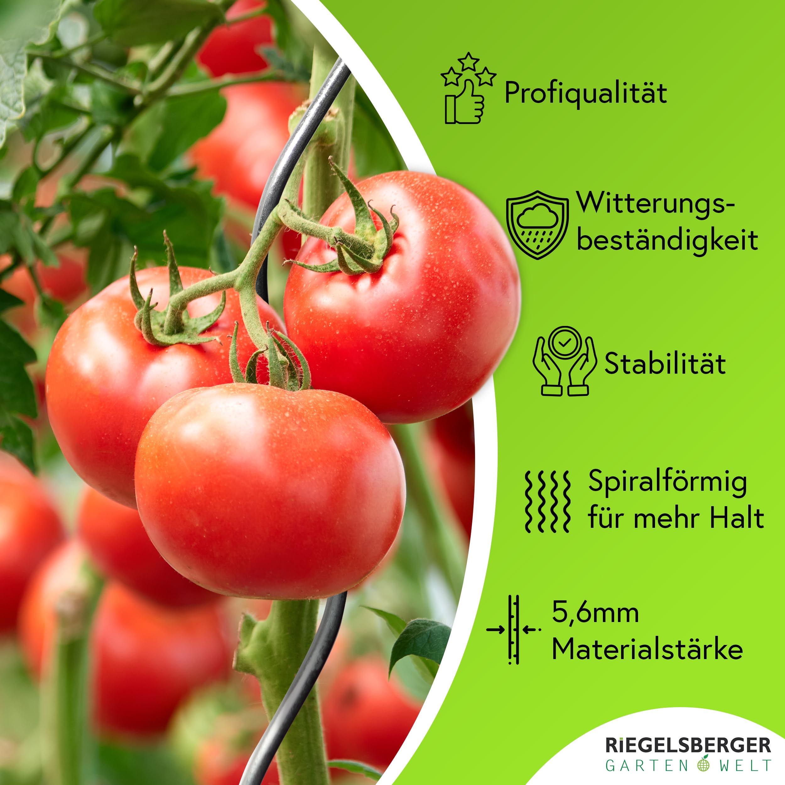 Gartenwelt Riegelsberger Spirali per pomodoro, altezza 180 cm, in acciaio, diametro 5,6 mm, 20 pezzi