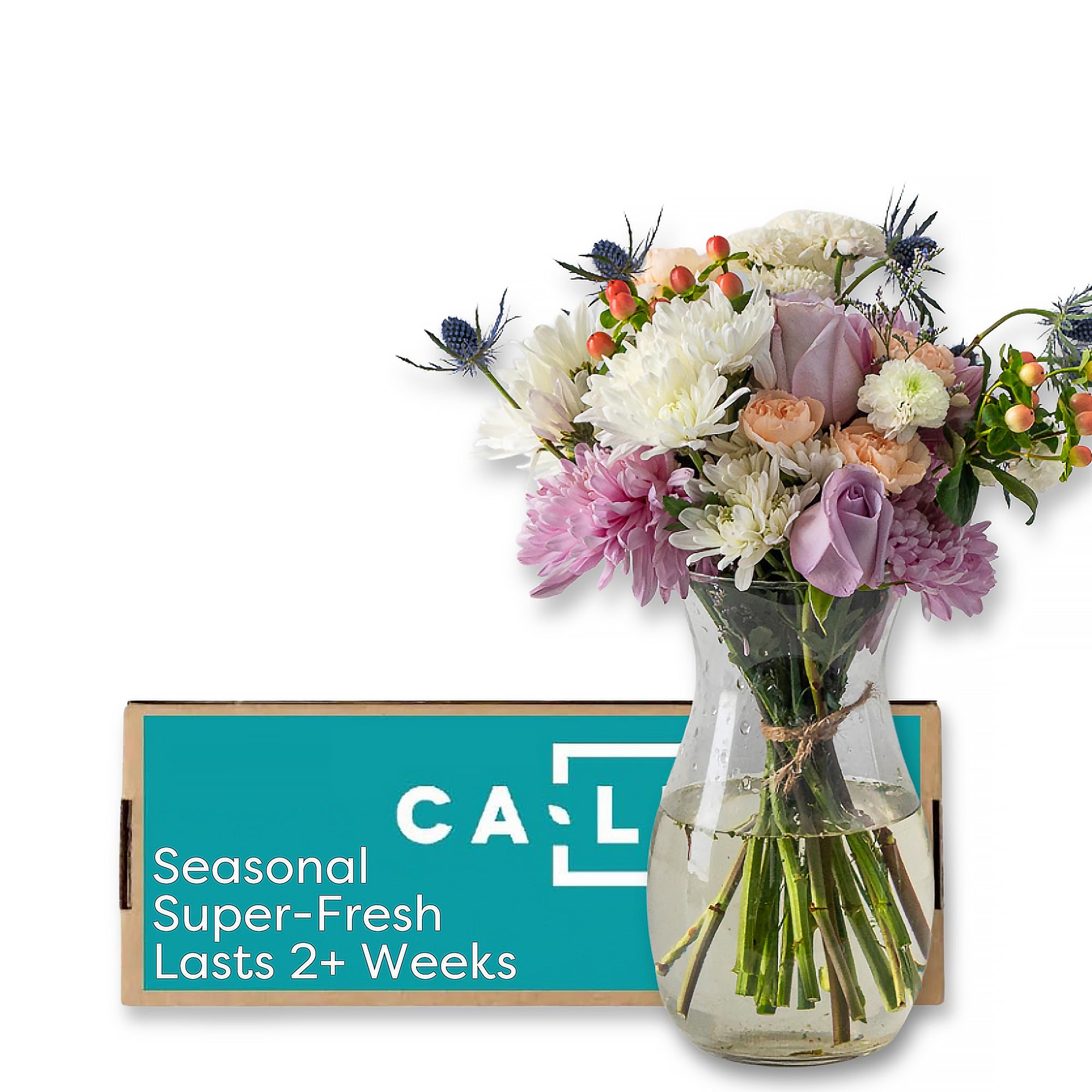 Callia Flowers - Soft Pastel Fresh Flower Bouquet (Deluxe Size) - Hand-Tied Fresh Cut with Vase, Fresh Flowers Delivery for Birthday, Sympathy, Get Well-Floral Arrangements with Local Delivery - 2